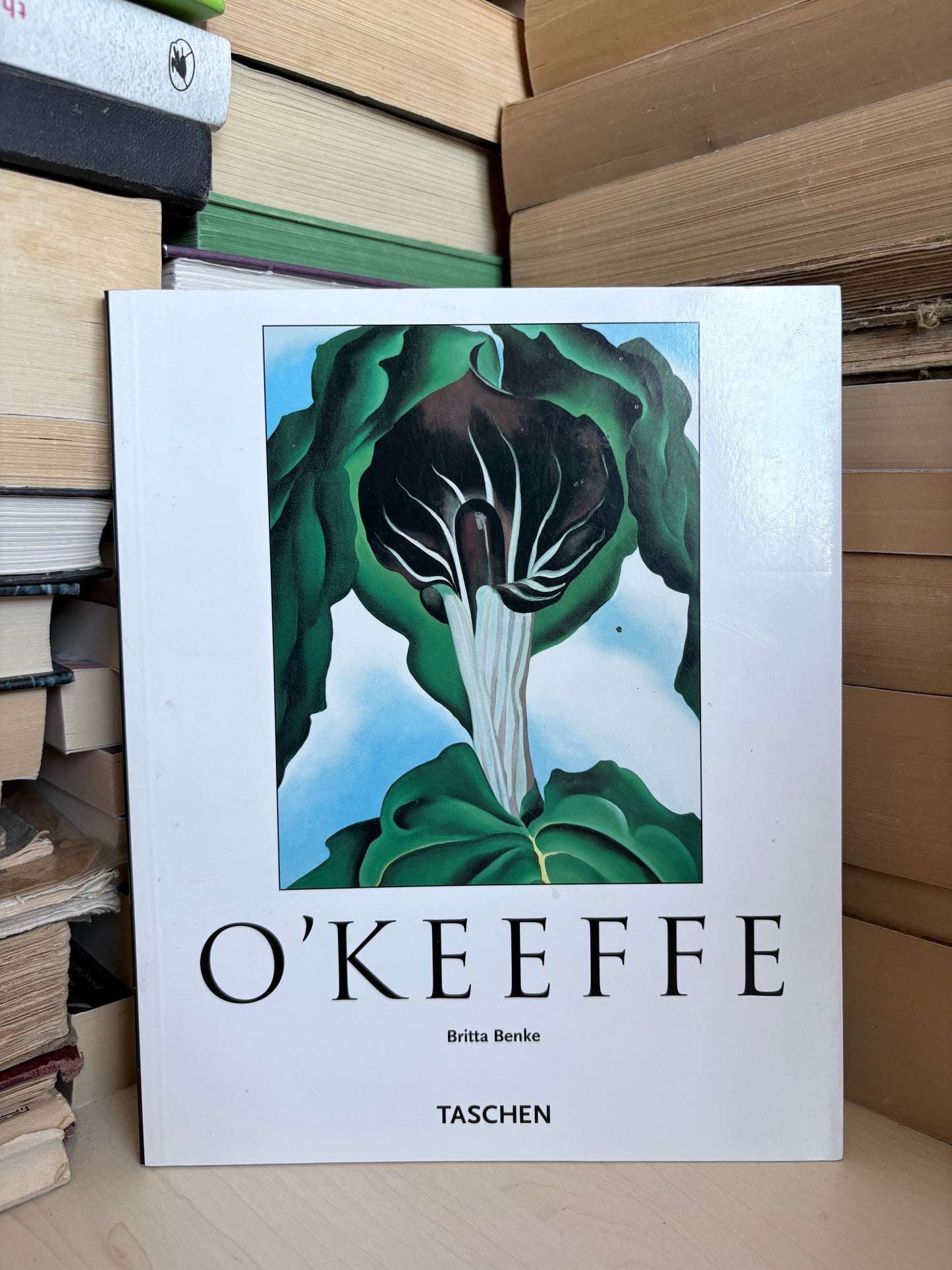 Britta Benke - O'Keeffe