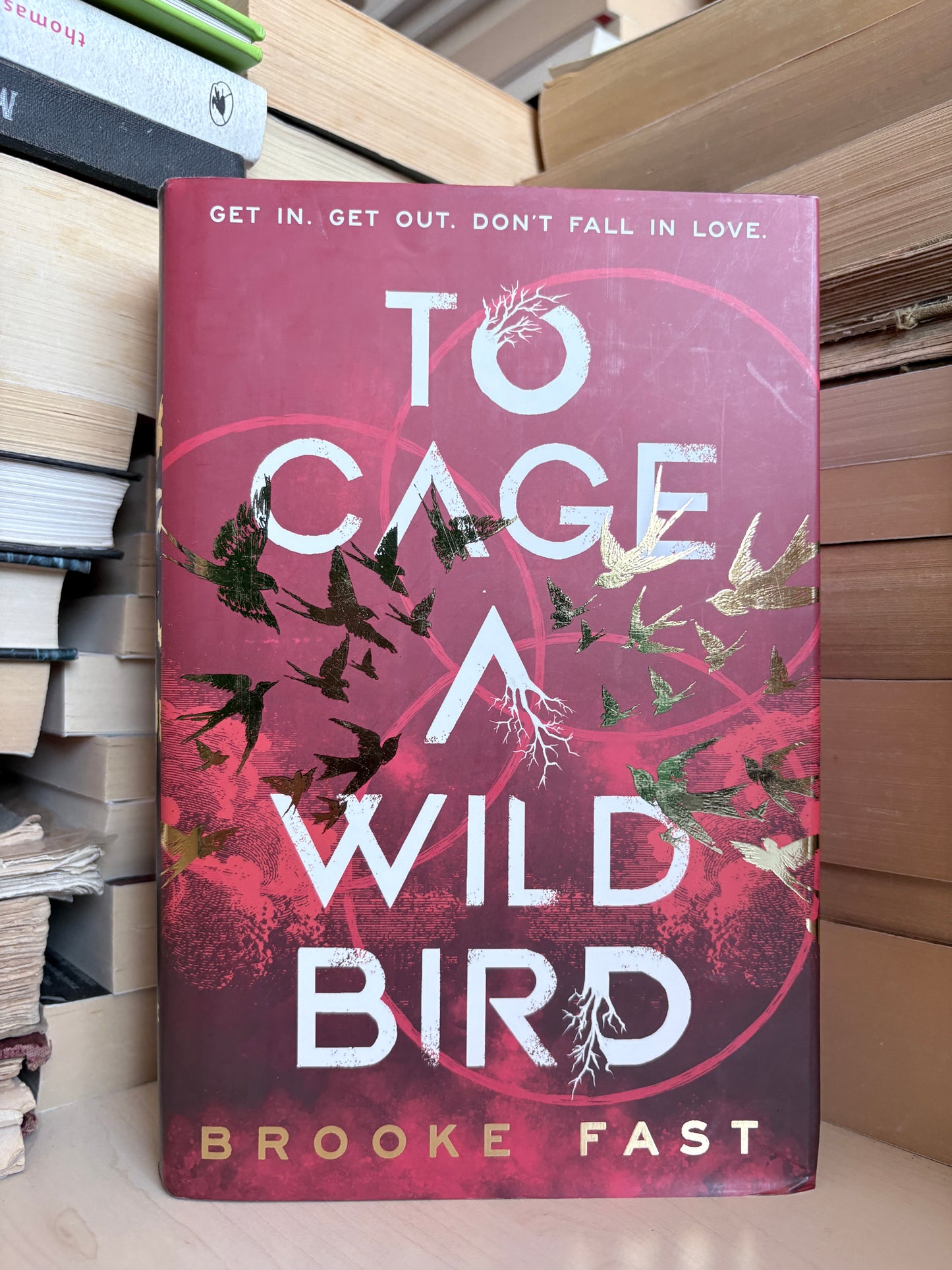 Brooke Fast - To Cage a Wild Bird