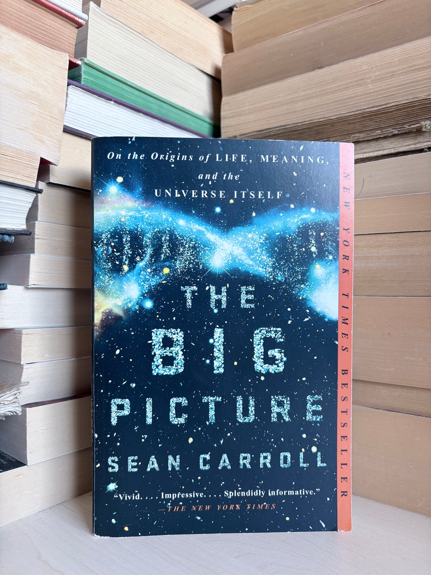 Sean Carroll - The Big Picture
