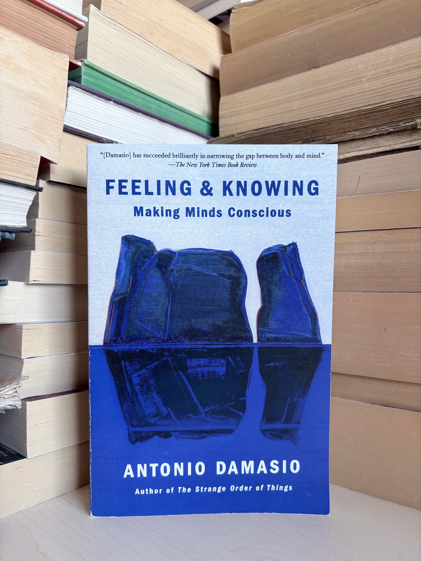 Antonio Damasio - Feeling and Knowing: Making Minds Conscious