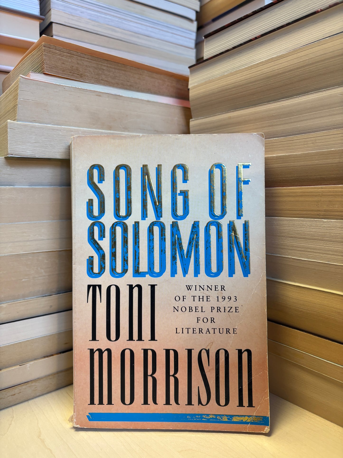 Toni Morrison - Song of Solomon