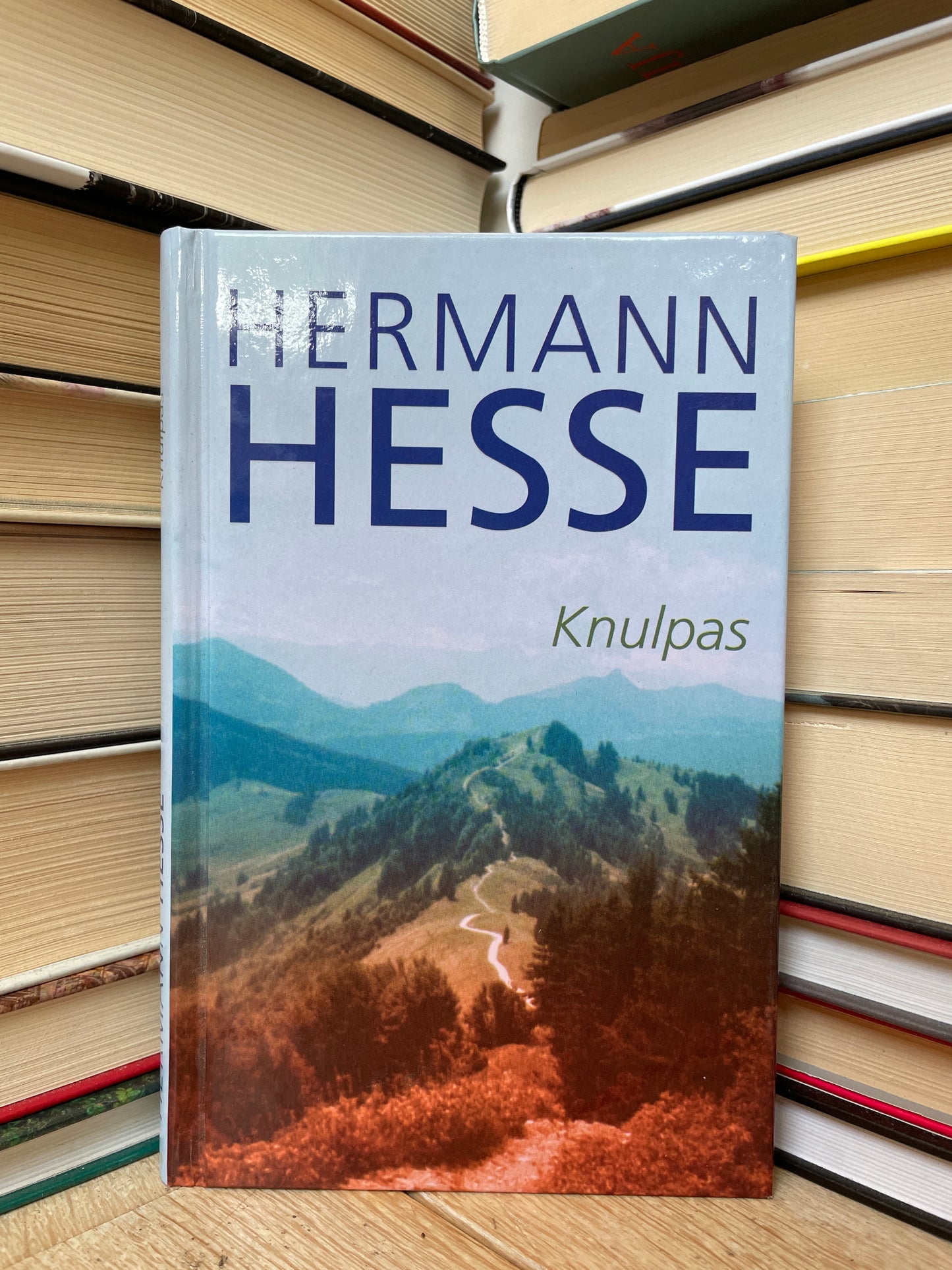 Hermann Hesse - ,,Knulpas"
