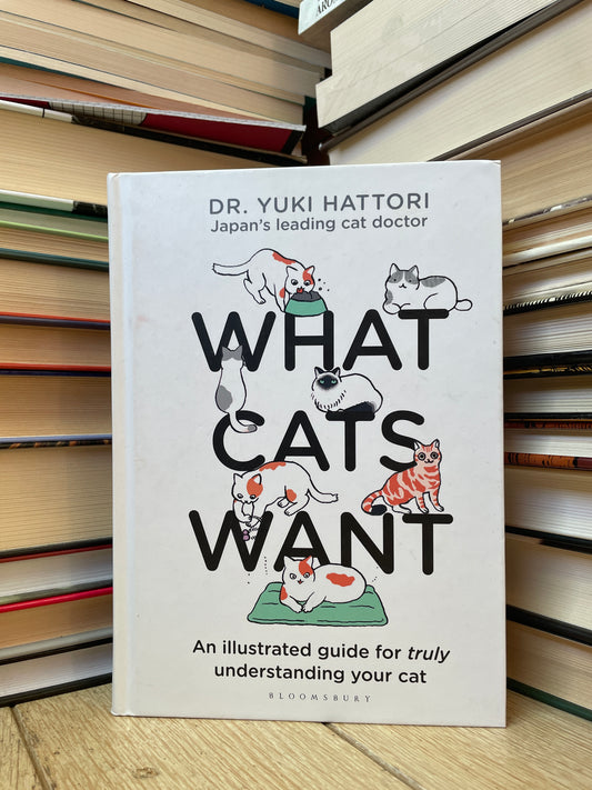 Yuki Hattori - What Cats Want