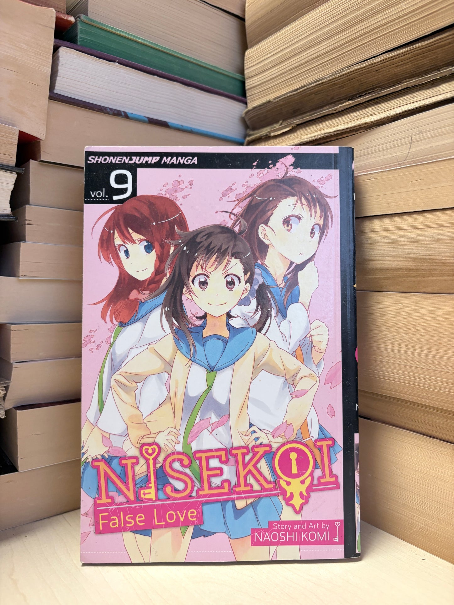 Naoshi Komi - Nisekoi: False Love 9