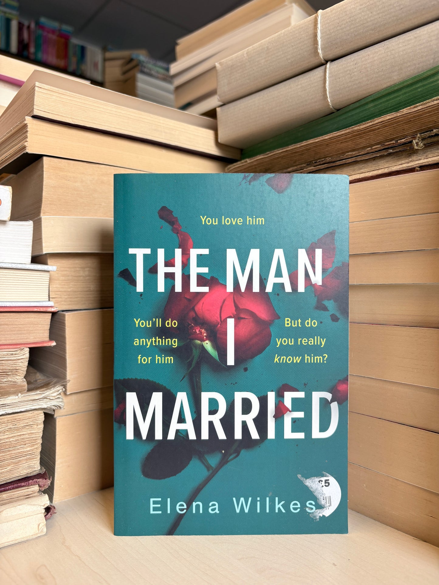 Elena Wilkes - The Man I Married