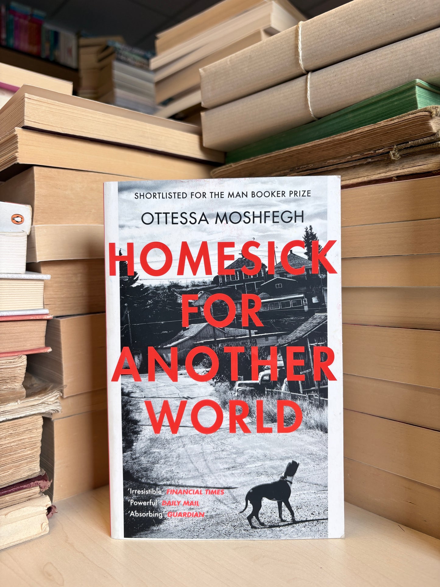 Ottessa Moshfegh - Homesick for Another World