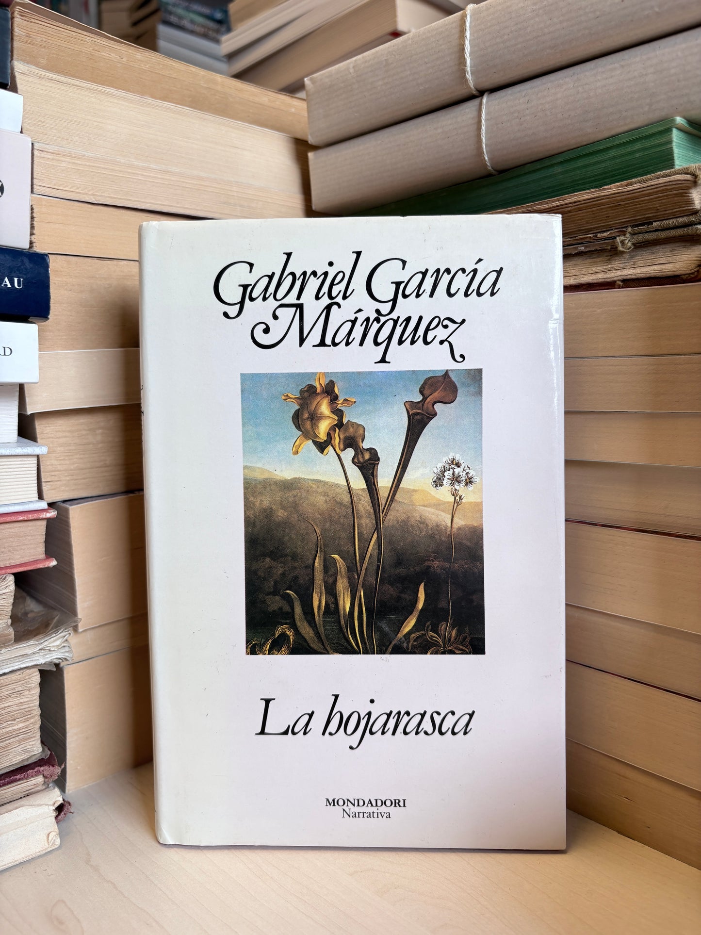 Gabriel Garcia Marquez - La hojarasca (ispanų)