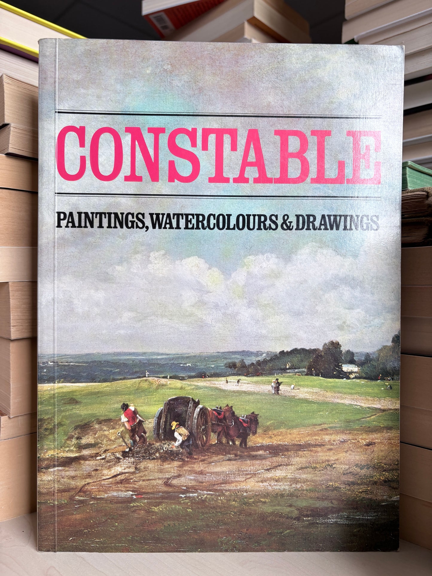 Norman Reid - Constable: Paintings, Watercolours and Drawings