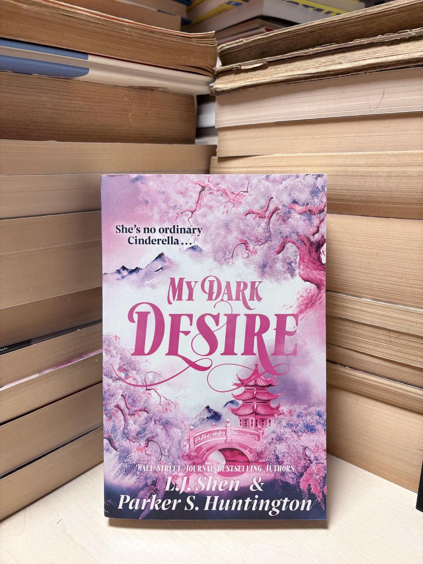 L. J. Shen, Parker S. Huntington - My Dark Desire