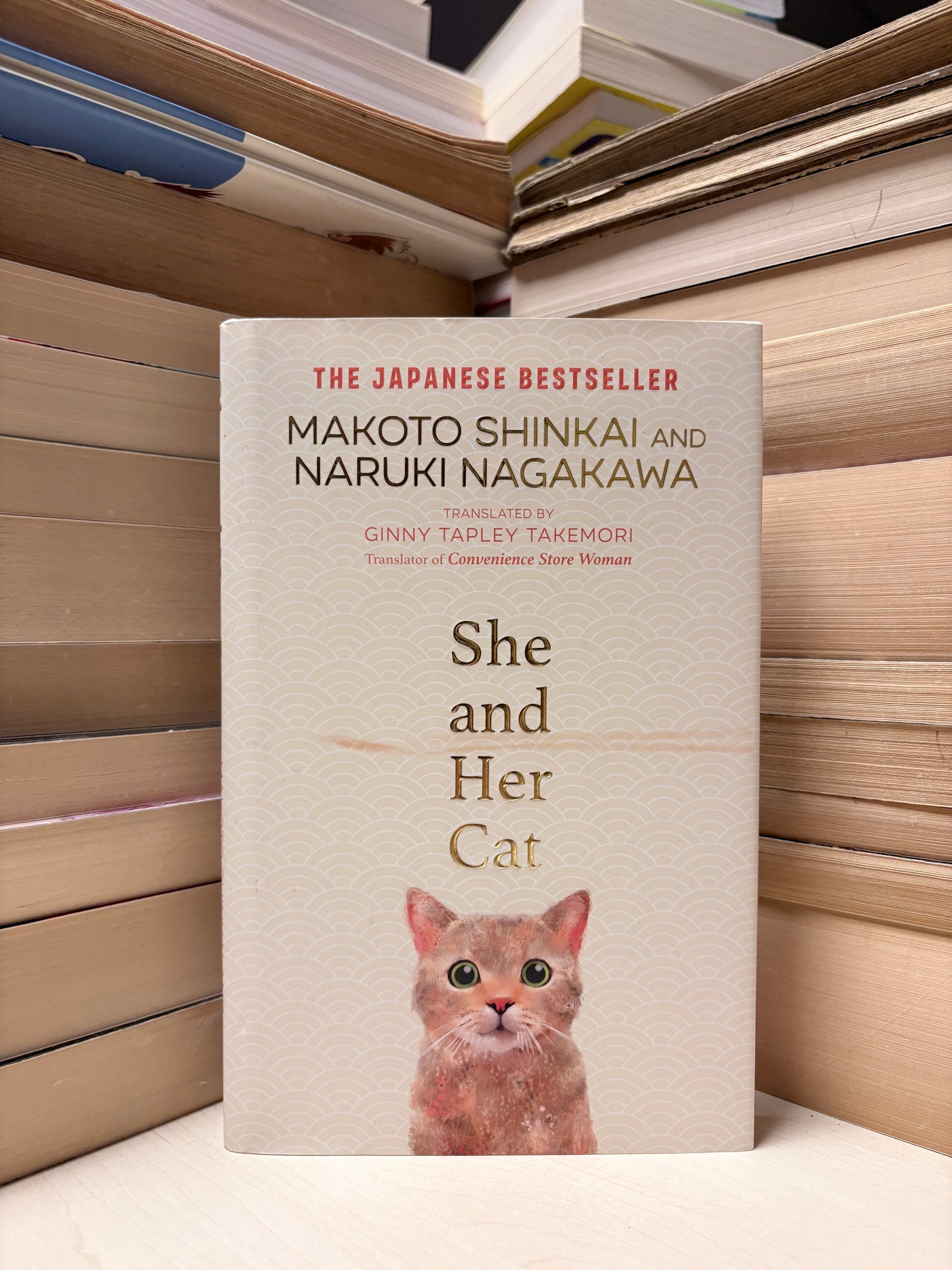 Makoto Shinkai and Naruki Nagakawa - She and Her Cat