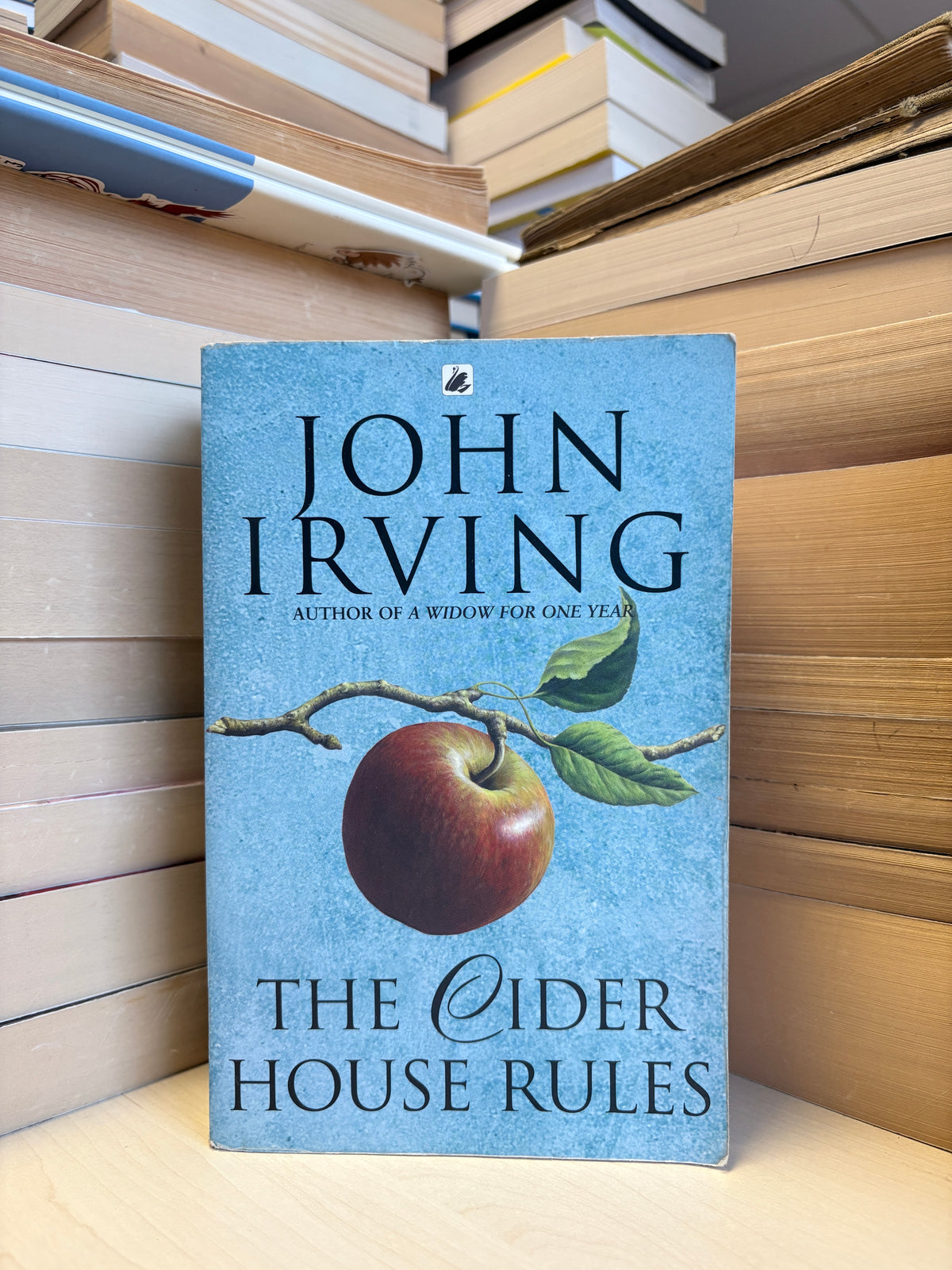John Irving - The Cider House Rules