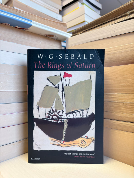 W. G. Sebald - The Rings of Saturn