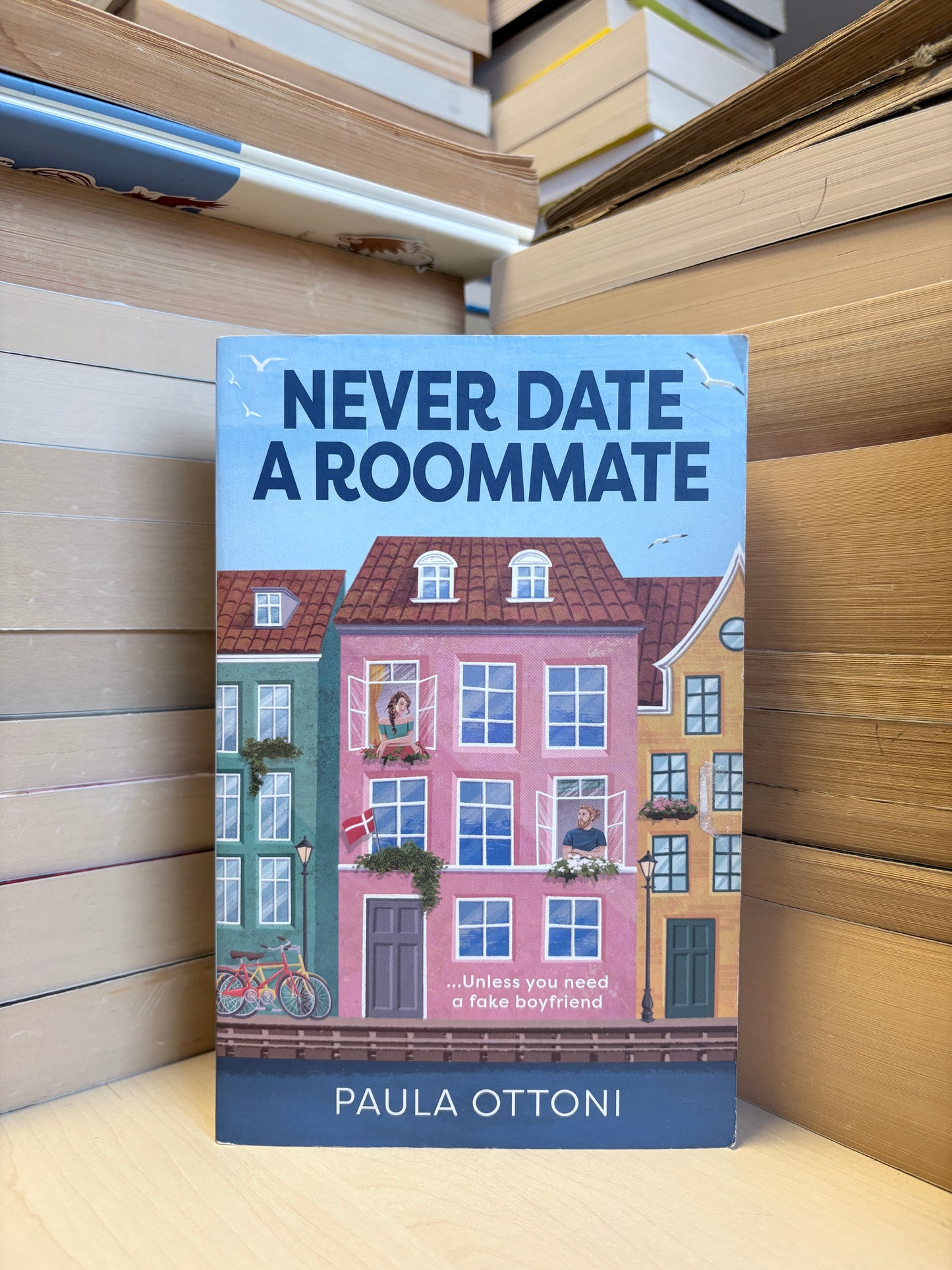 Paula Ottoni - Never Date a Roommate