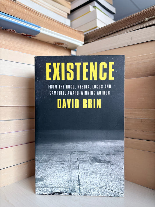 David Brin - Existence