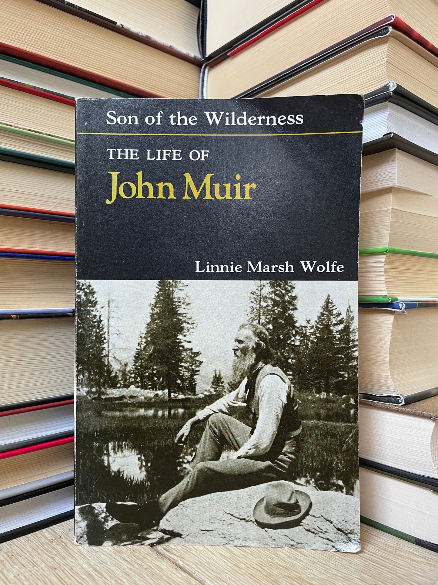 Linnie Marsh Wolfe - Son of the Wilderness: The Life of John Muir