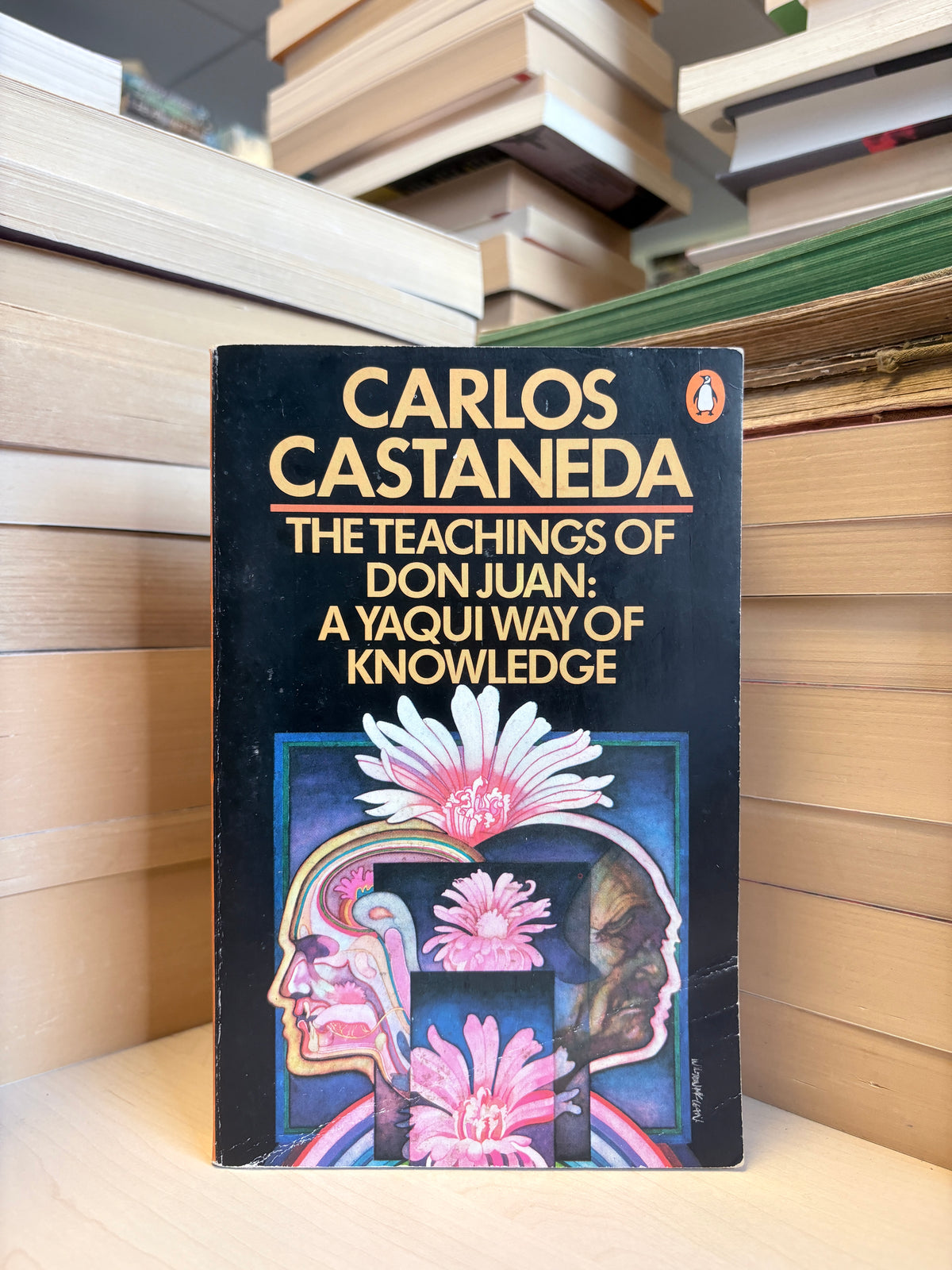Carlos Castaneda - The Teachings of Don Juan: A Yaqui Way of Knowledge