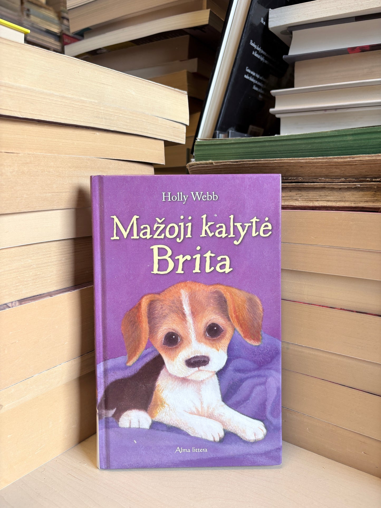 Holly Webb - ,,Mažoji kalytė Brita"