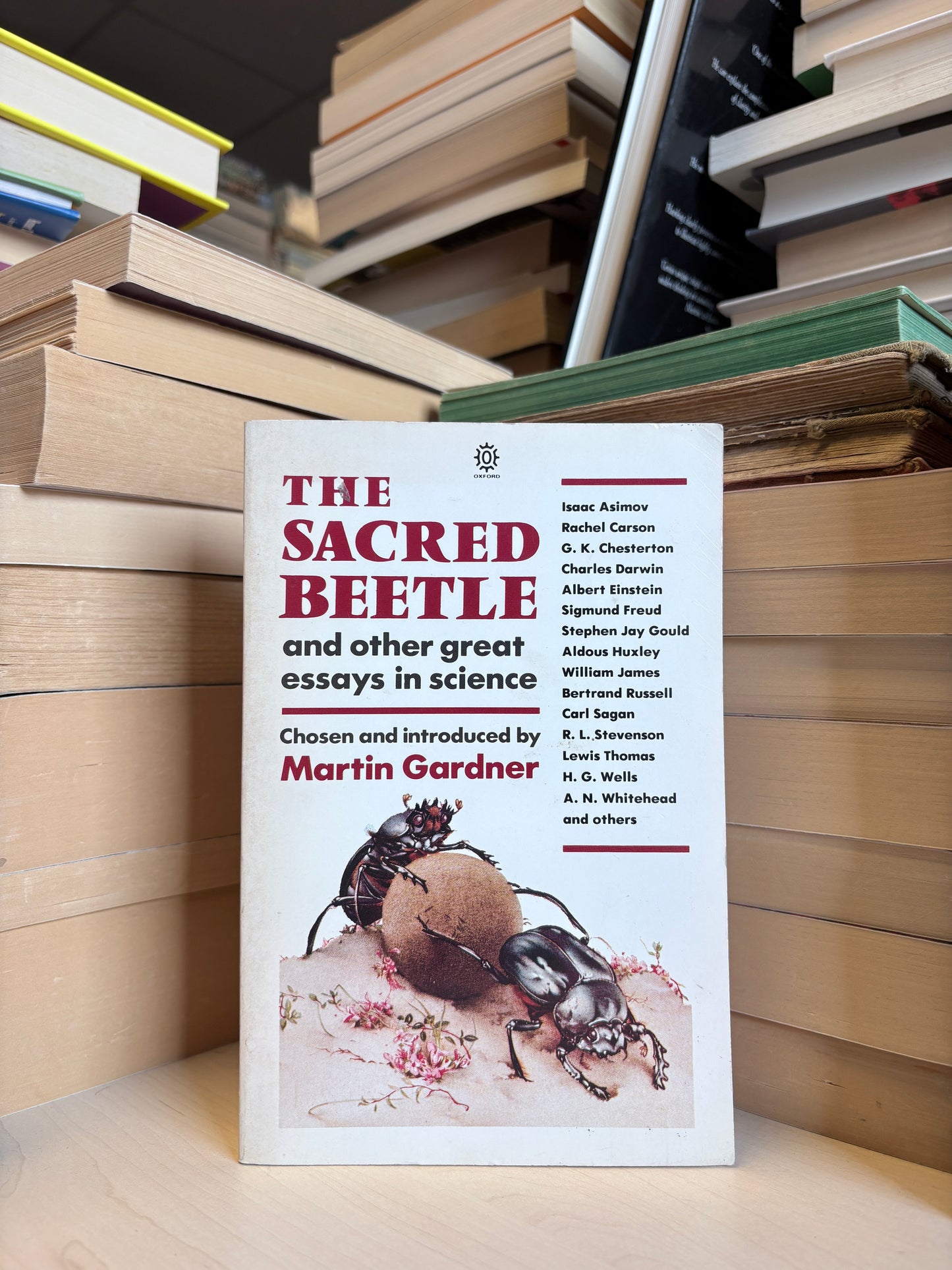 Martin Gardner - The Sacred Beetle and Other Great Essays in Science