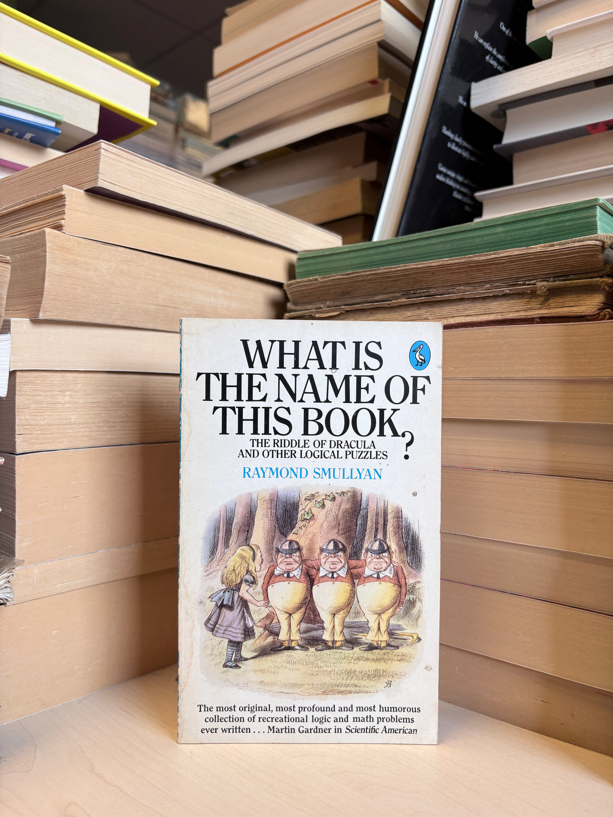 Raymond Smullyan - What Is the Name of this Book?