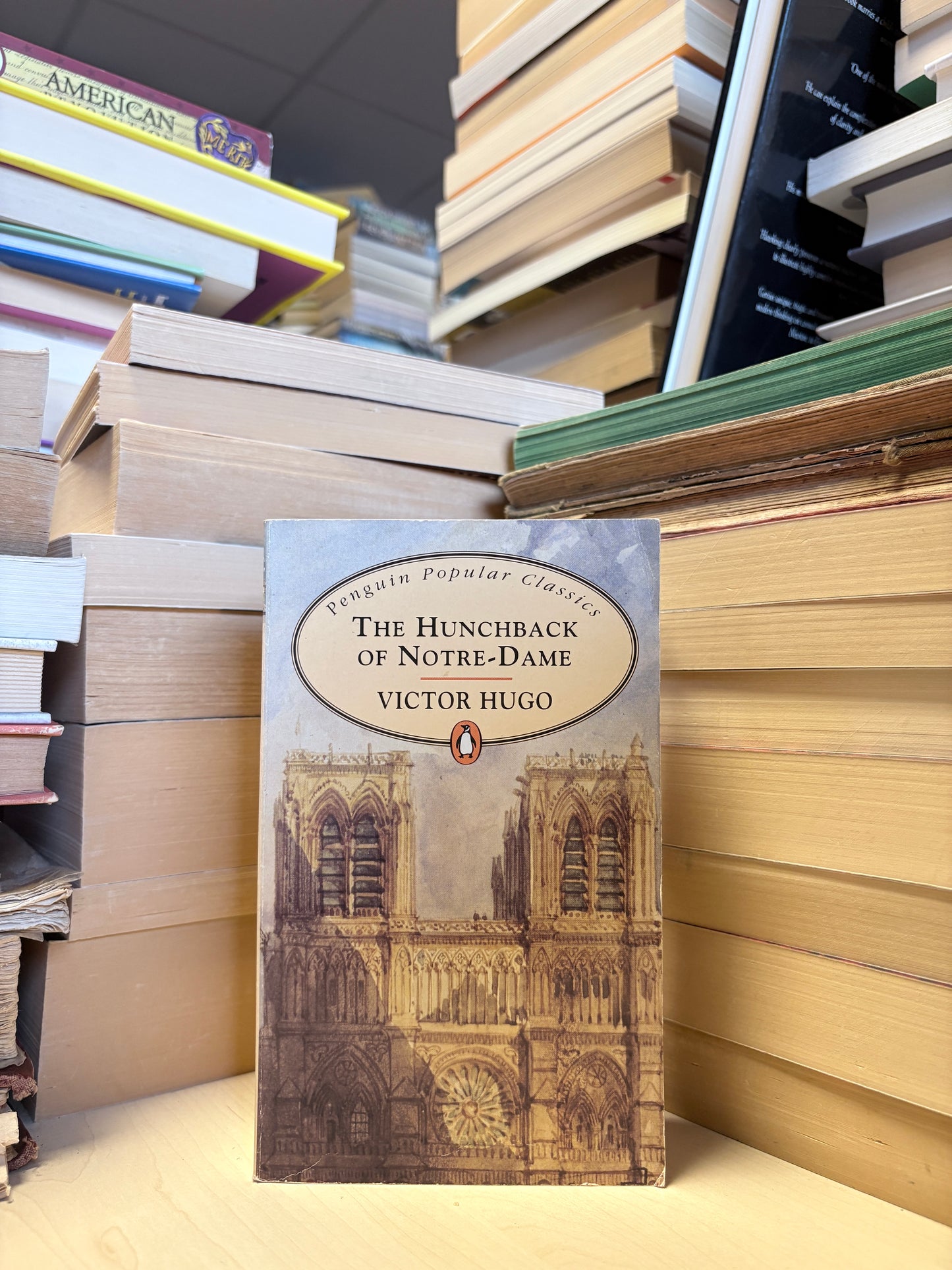 Victor Hugo - The Hunchback of Notre-Dame