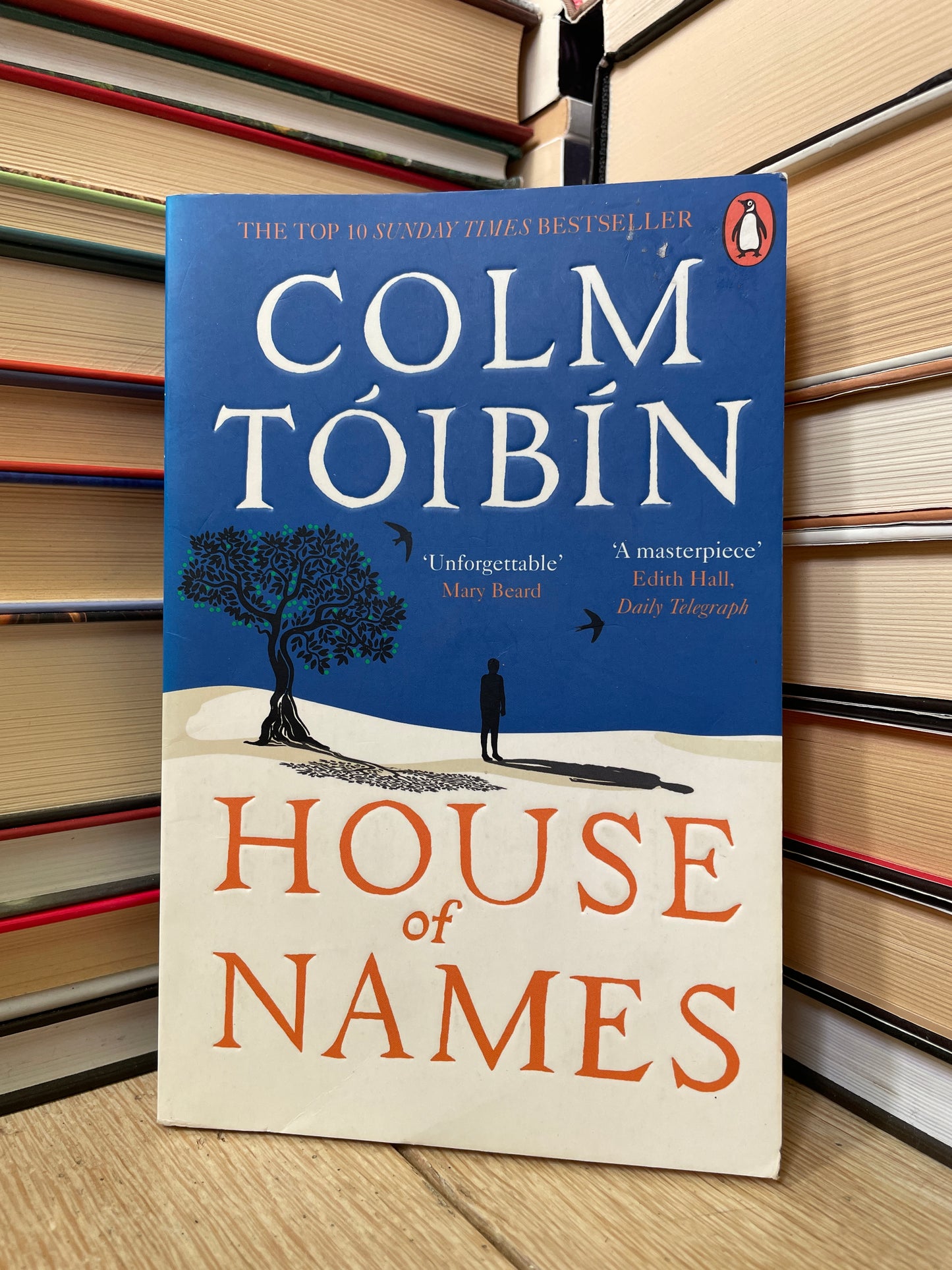 Colm Toibin - House of Names