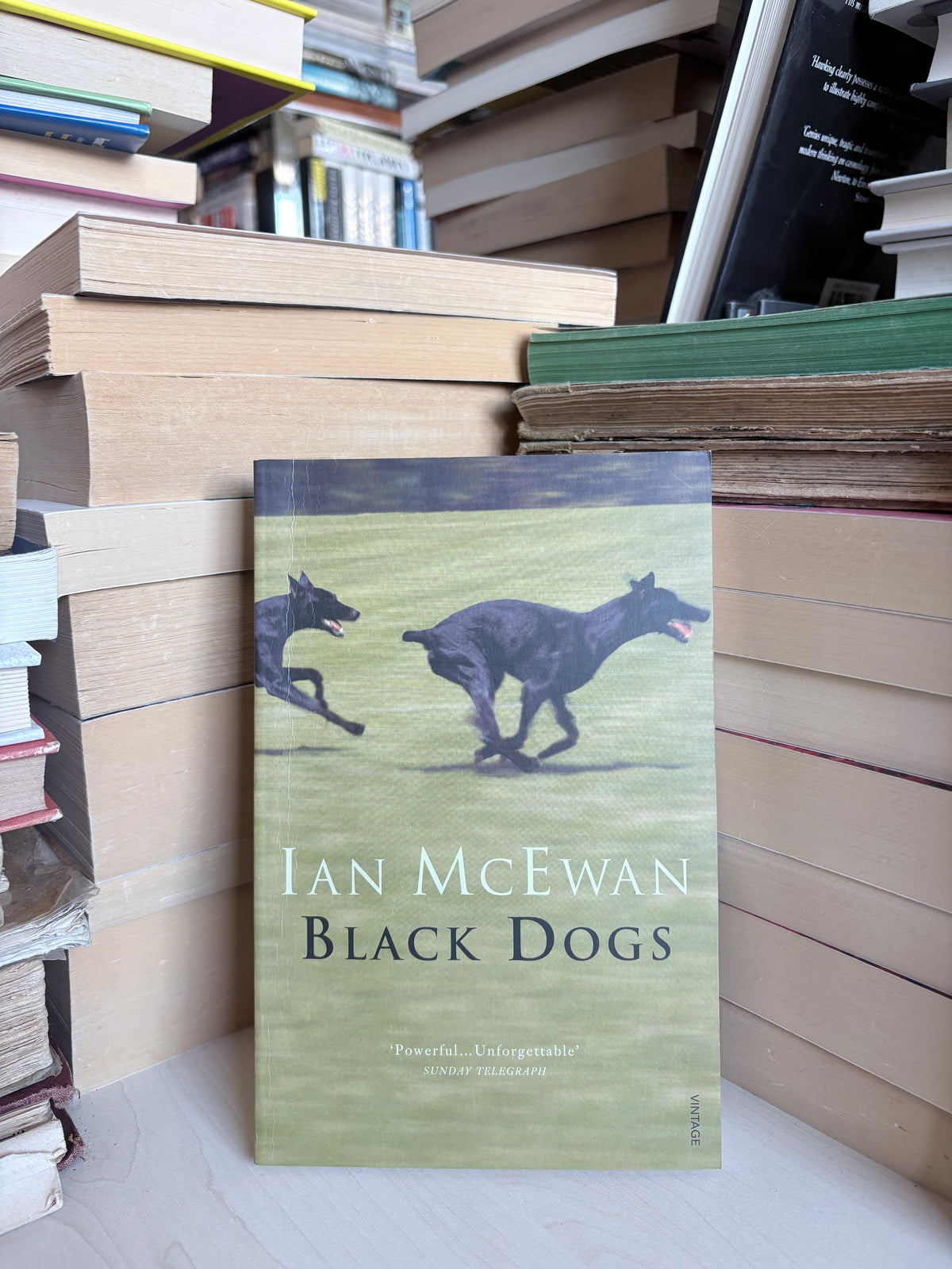 Ian McEwan - Black Dogs