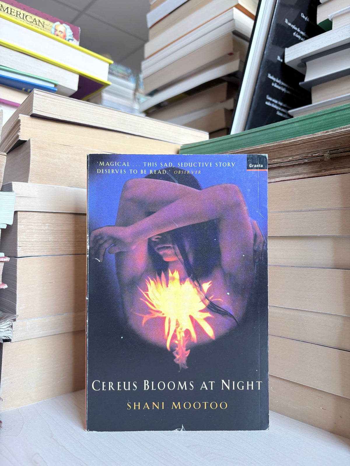 Shani Mootoo - Cereus Blooms at Night