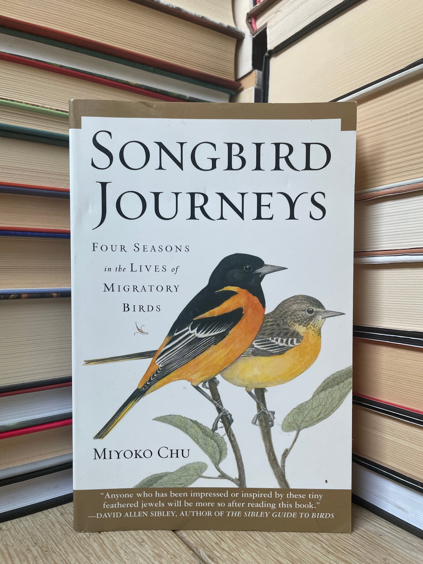 Miyoko Chu - Songbird Journeys