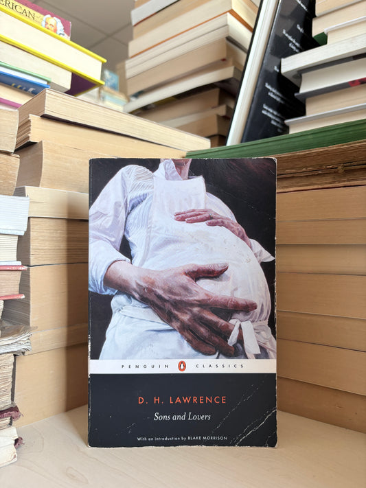 D. H. Lawrence - Sons and Lovers