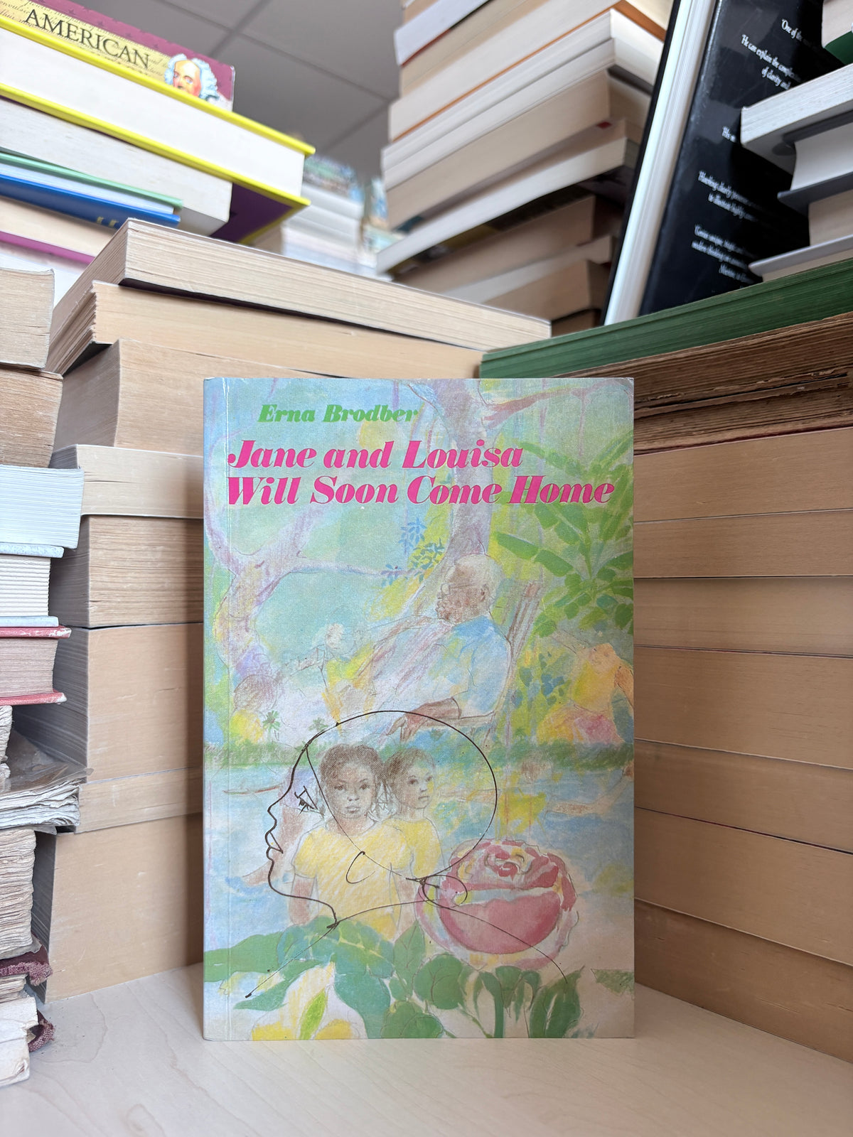 Erna Brodber - Jane and Louisa Will Soon Come Home