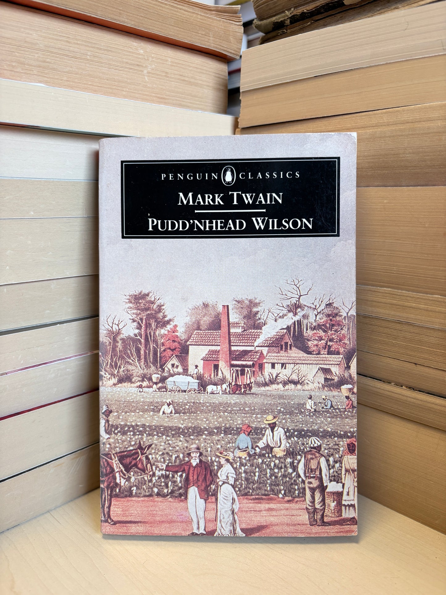 Mark Twain - Pudd'nhead Wilson