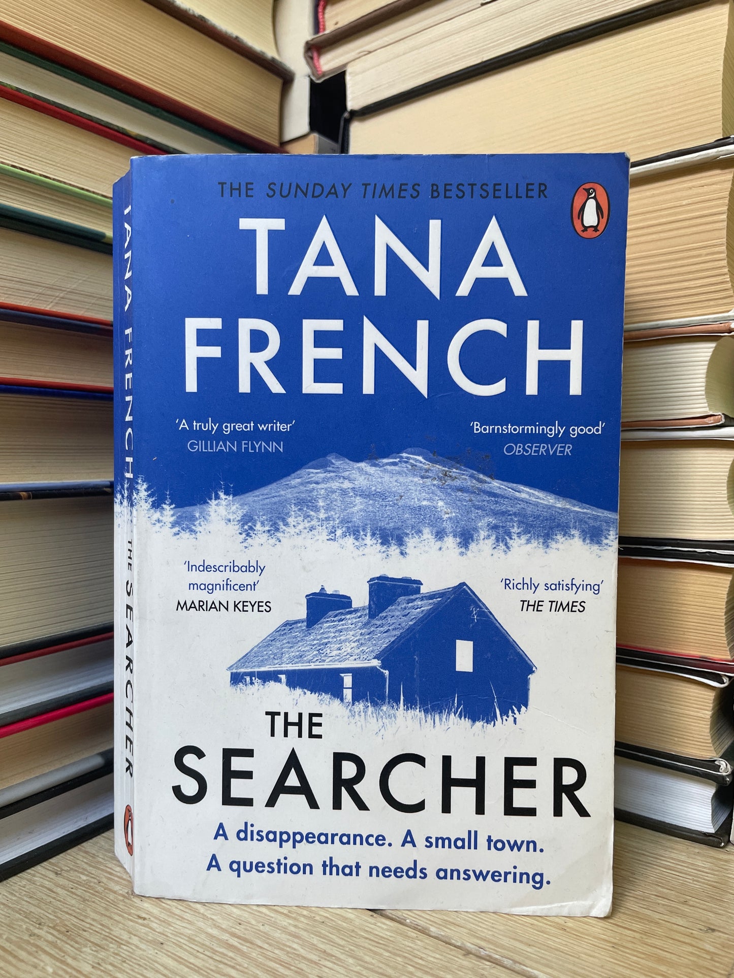 Tana French - The Searcher