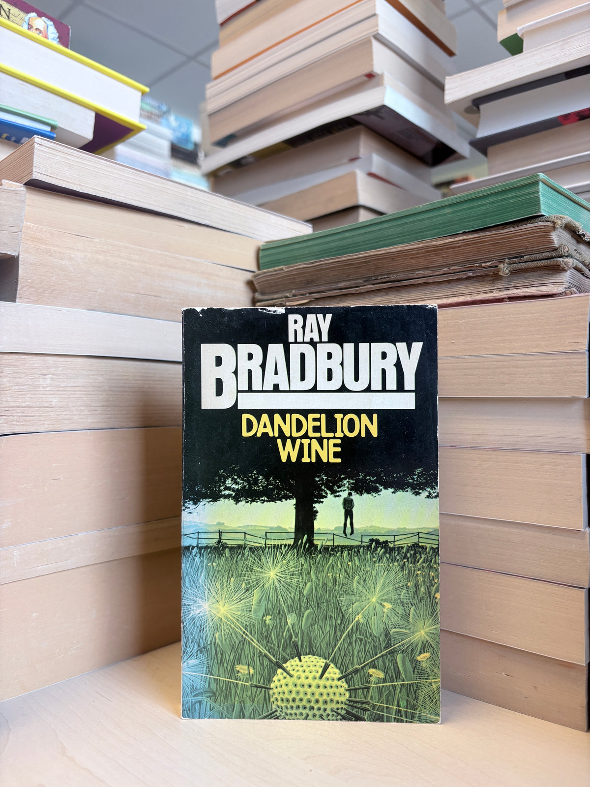 Ray Bradbury - Dandelion Wine