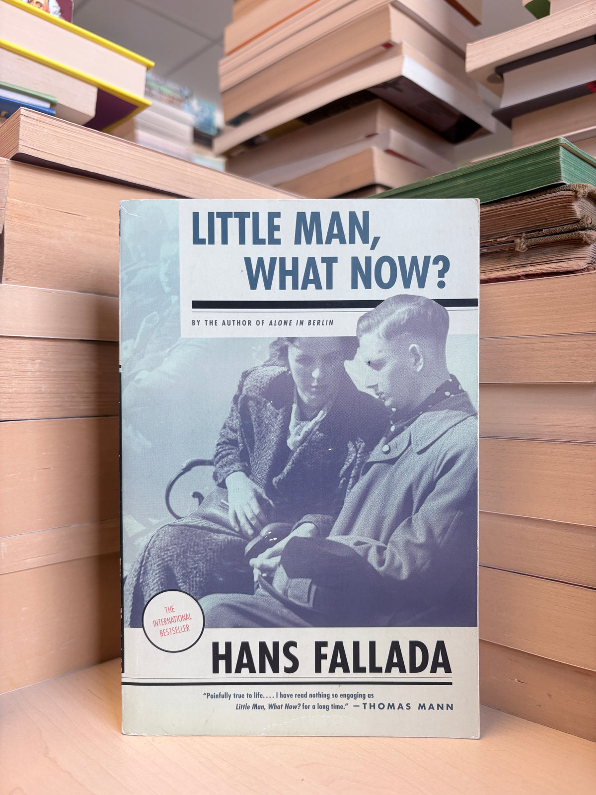 Hans Fallada - Little Man, What Now?