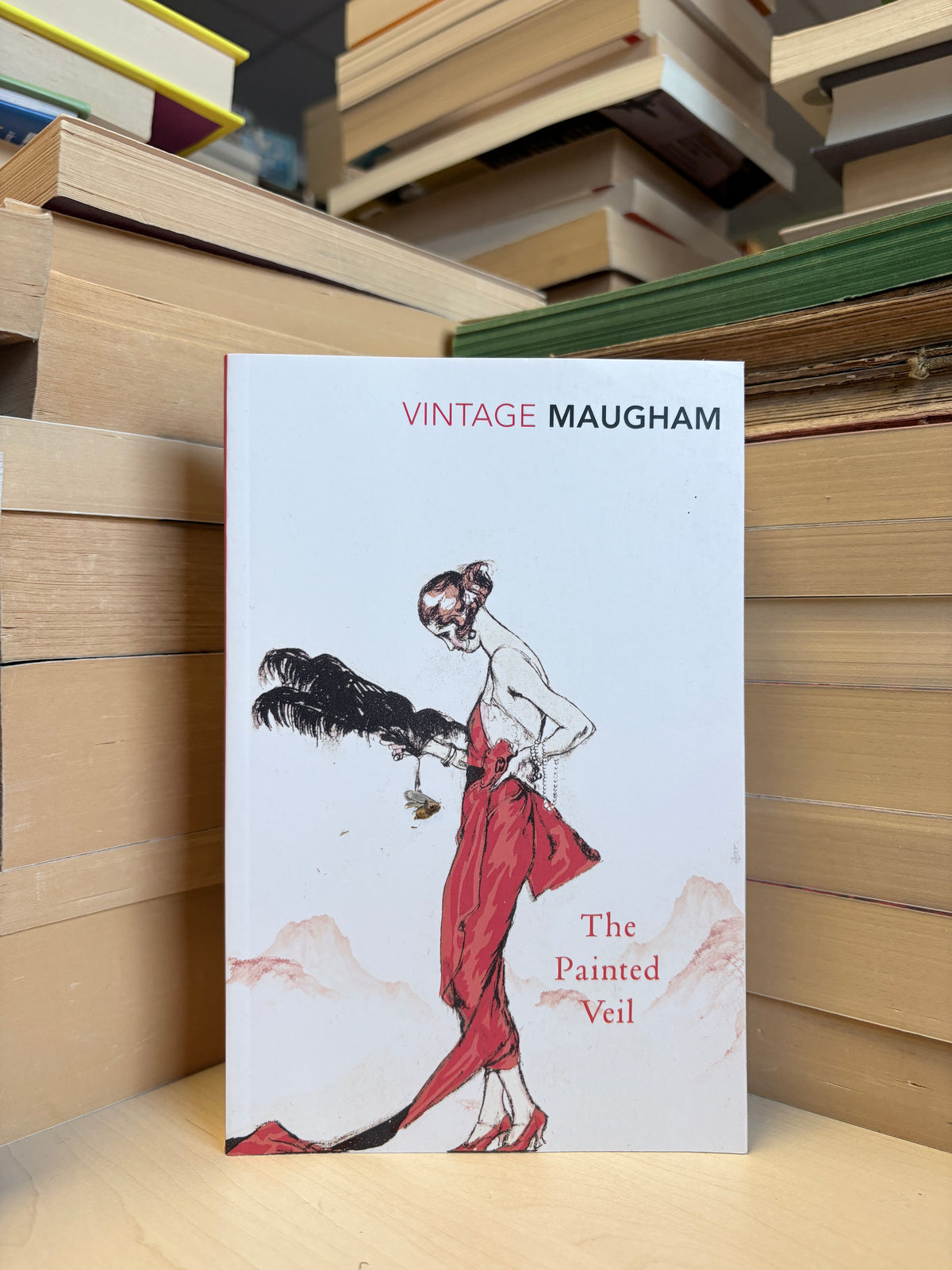William Somerset Maugham - The Painted Veil
