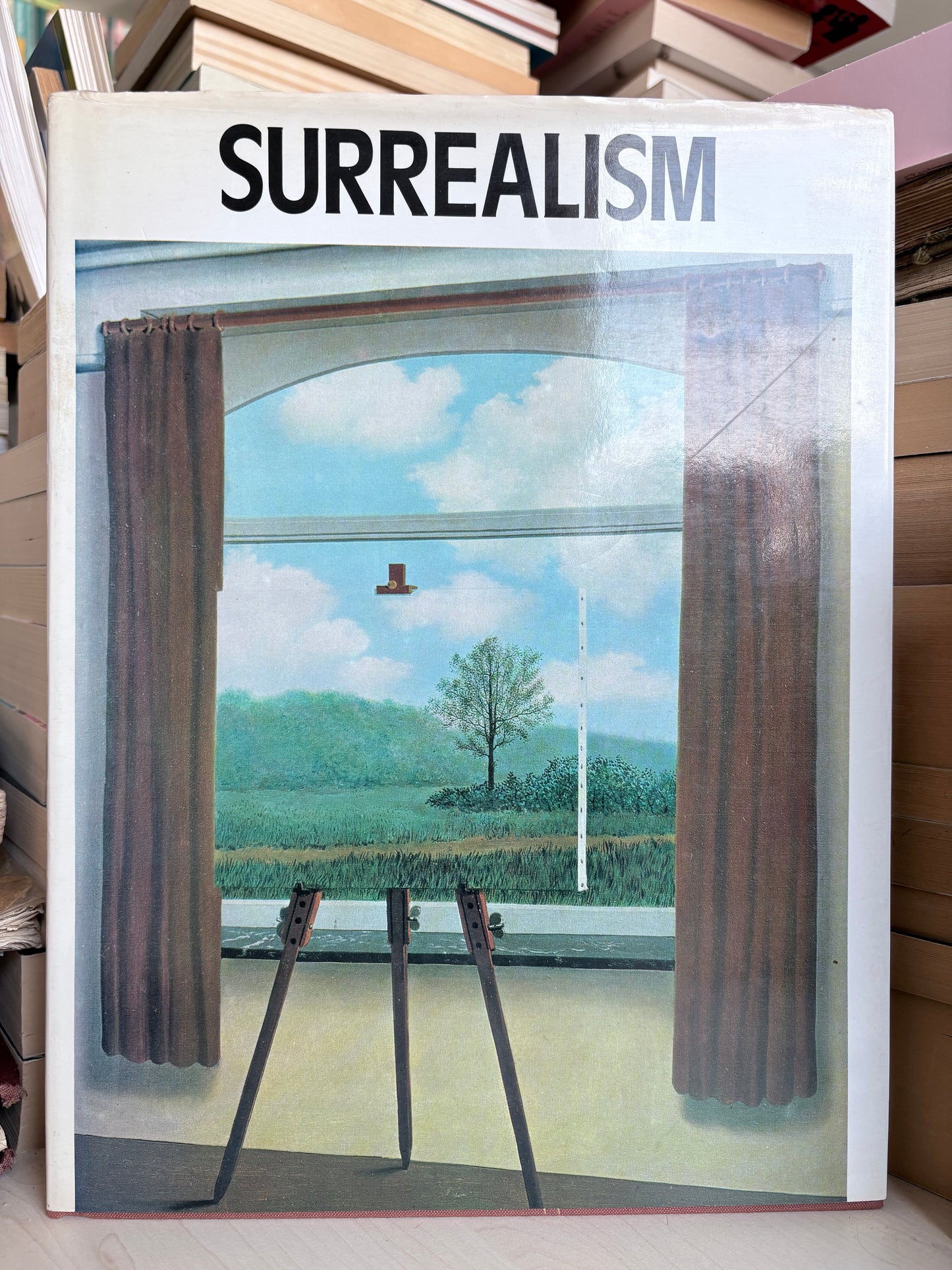 Uwe M. Schneede - Surrealism