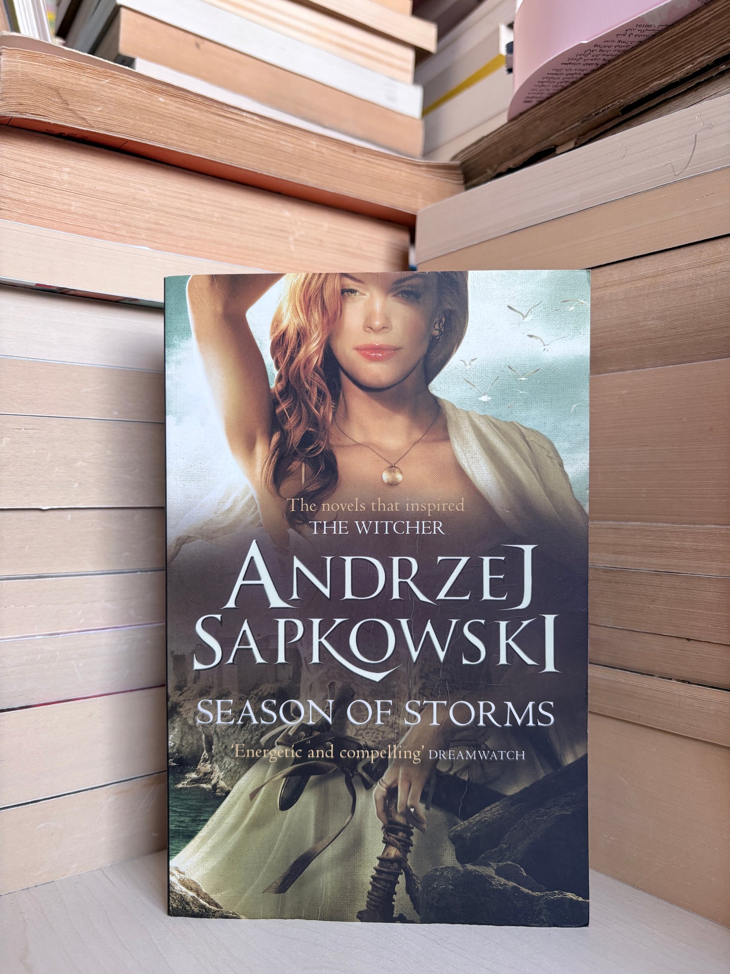 Andrzej Sapkowski - The Witcher: Season of Storms