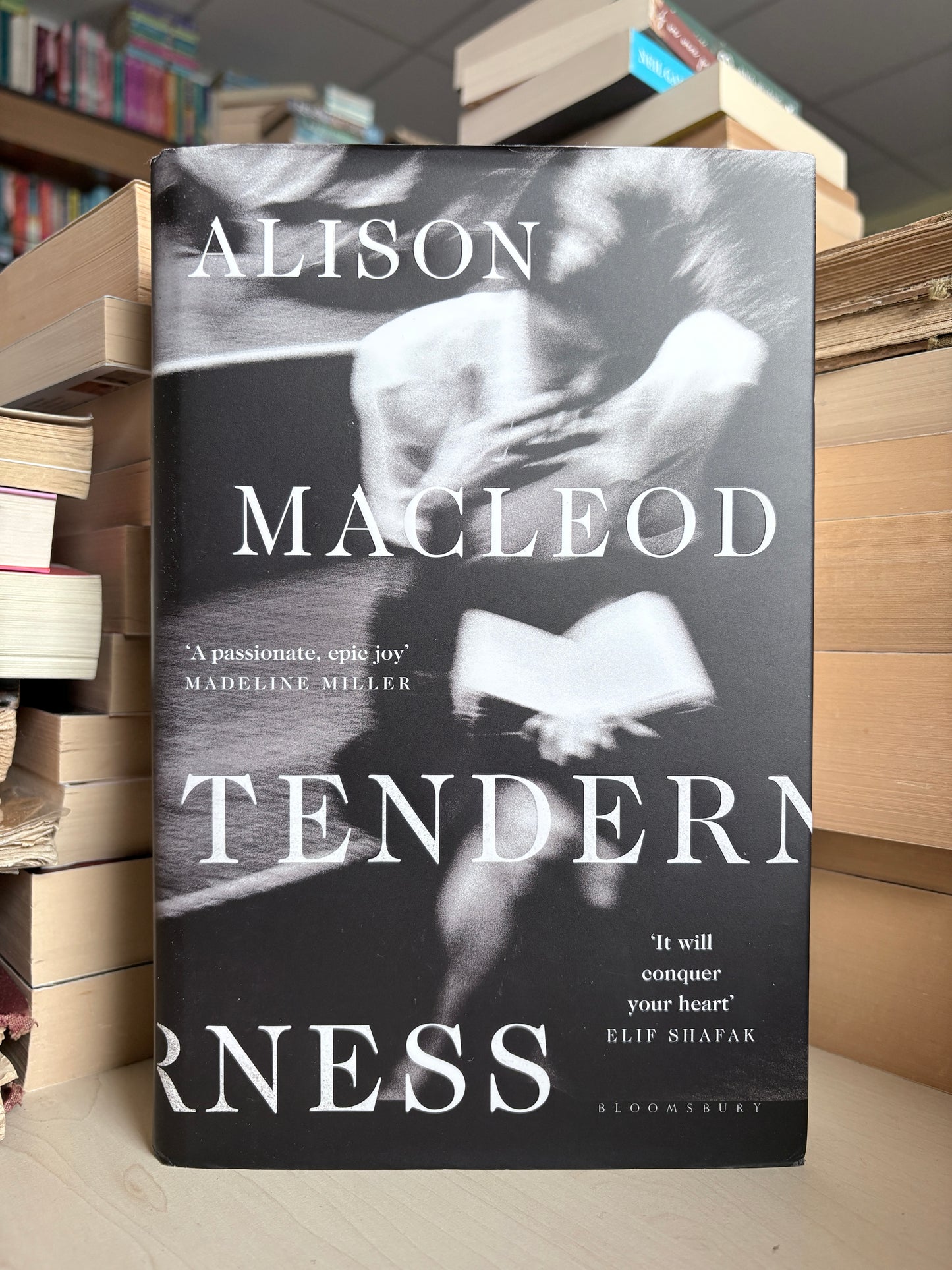 Alison MacLeod - Tenderness