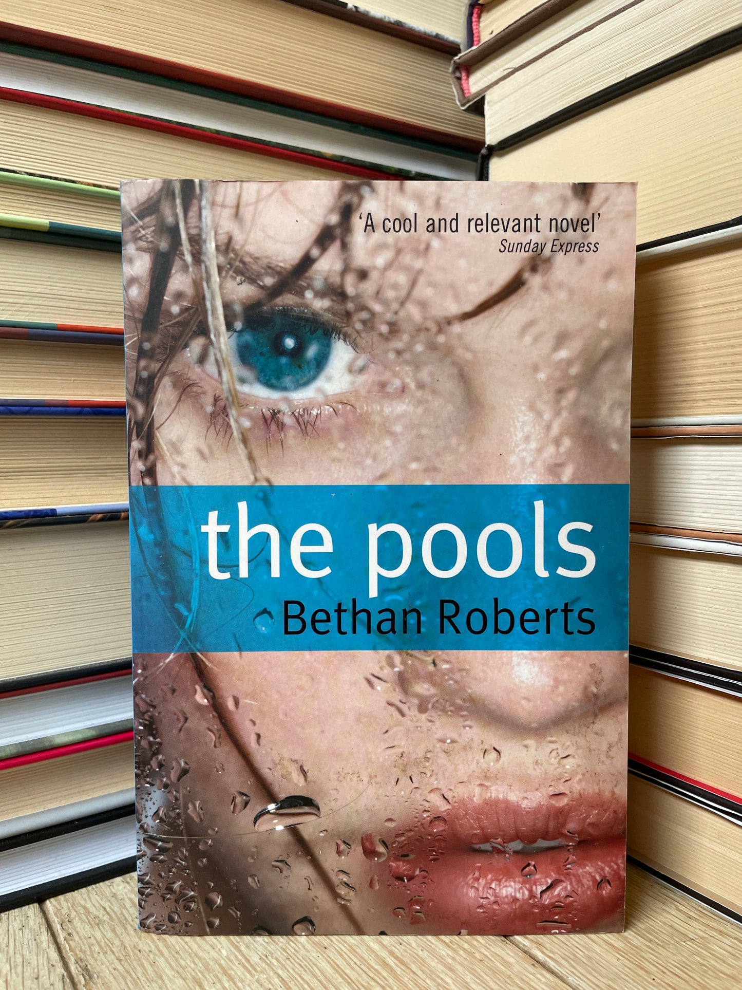 Bethan Roberts - The Pools