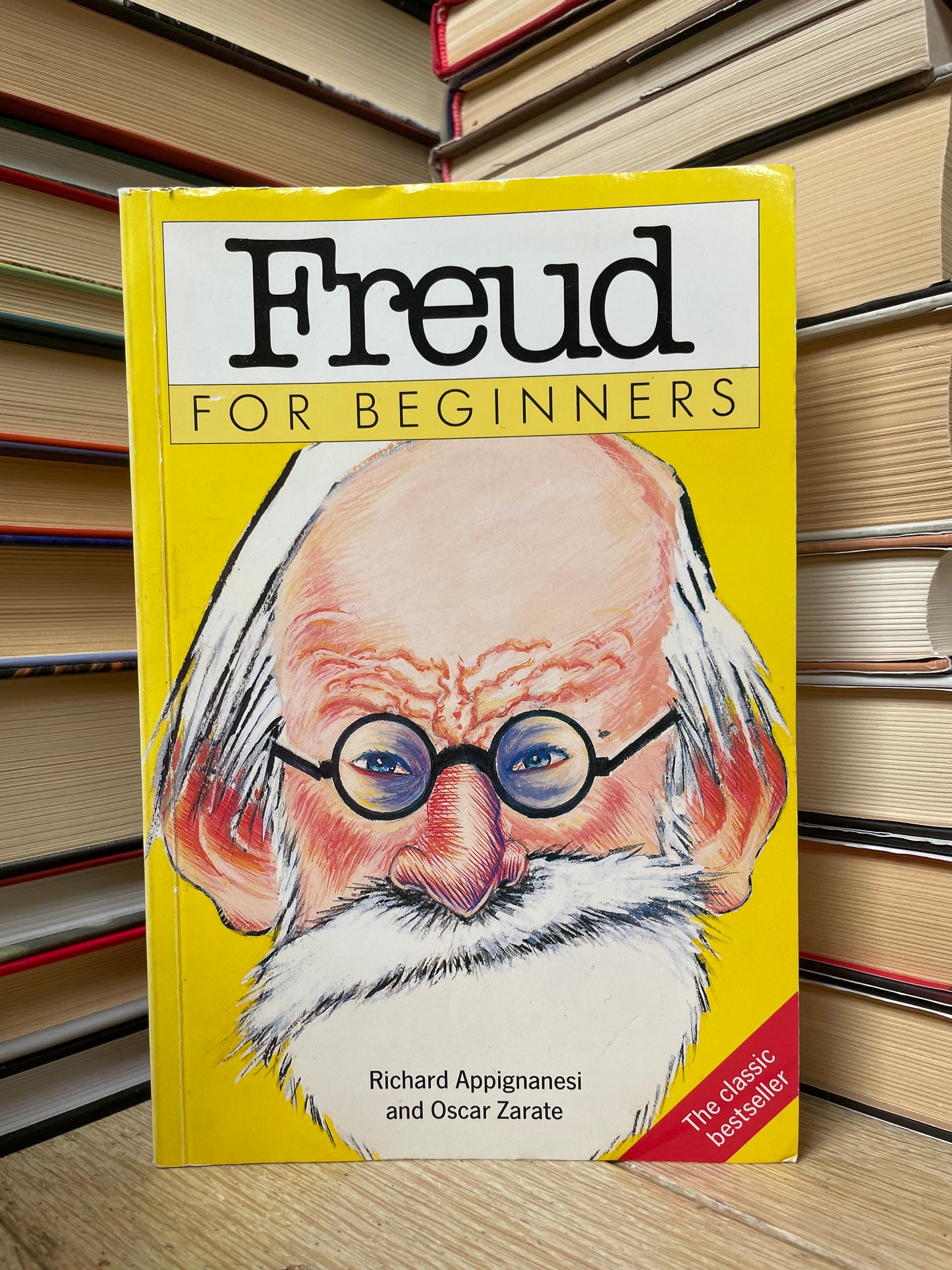 Richard Appignanesi - Freud For Beginners