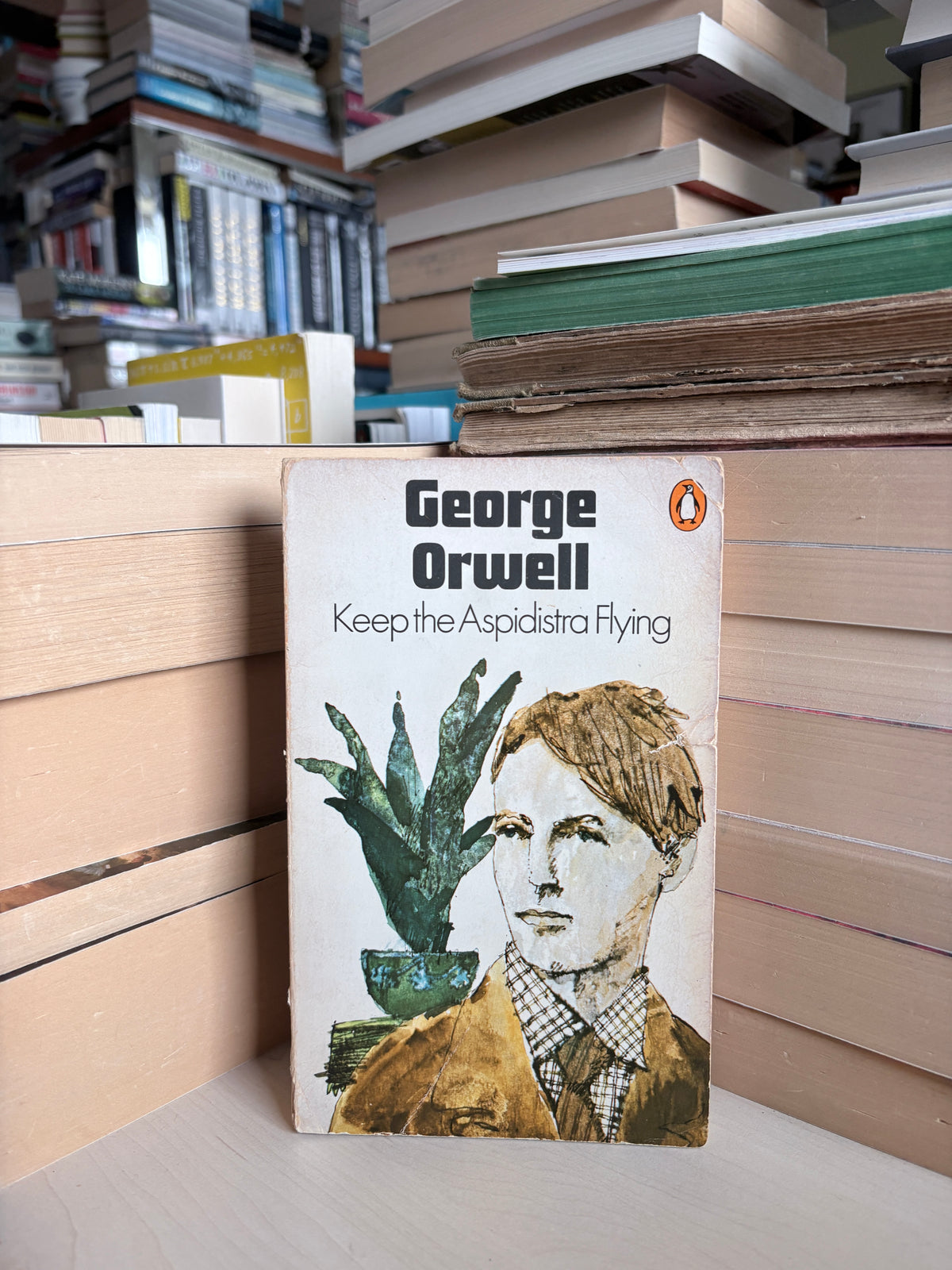 George Orwell - Keep the Aspidistra Flying