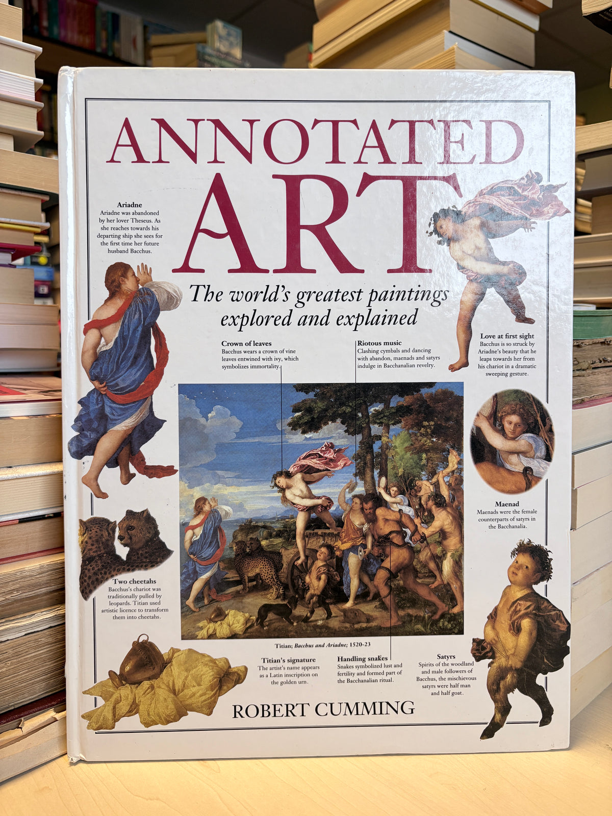 Robert Cumming - Annotated Art