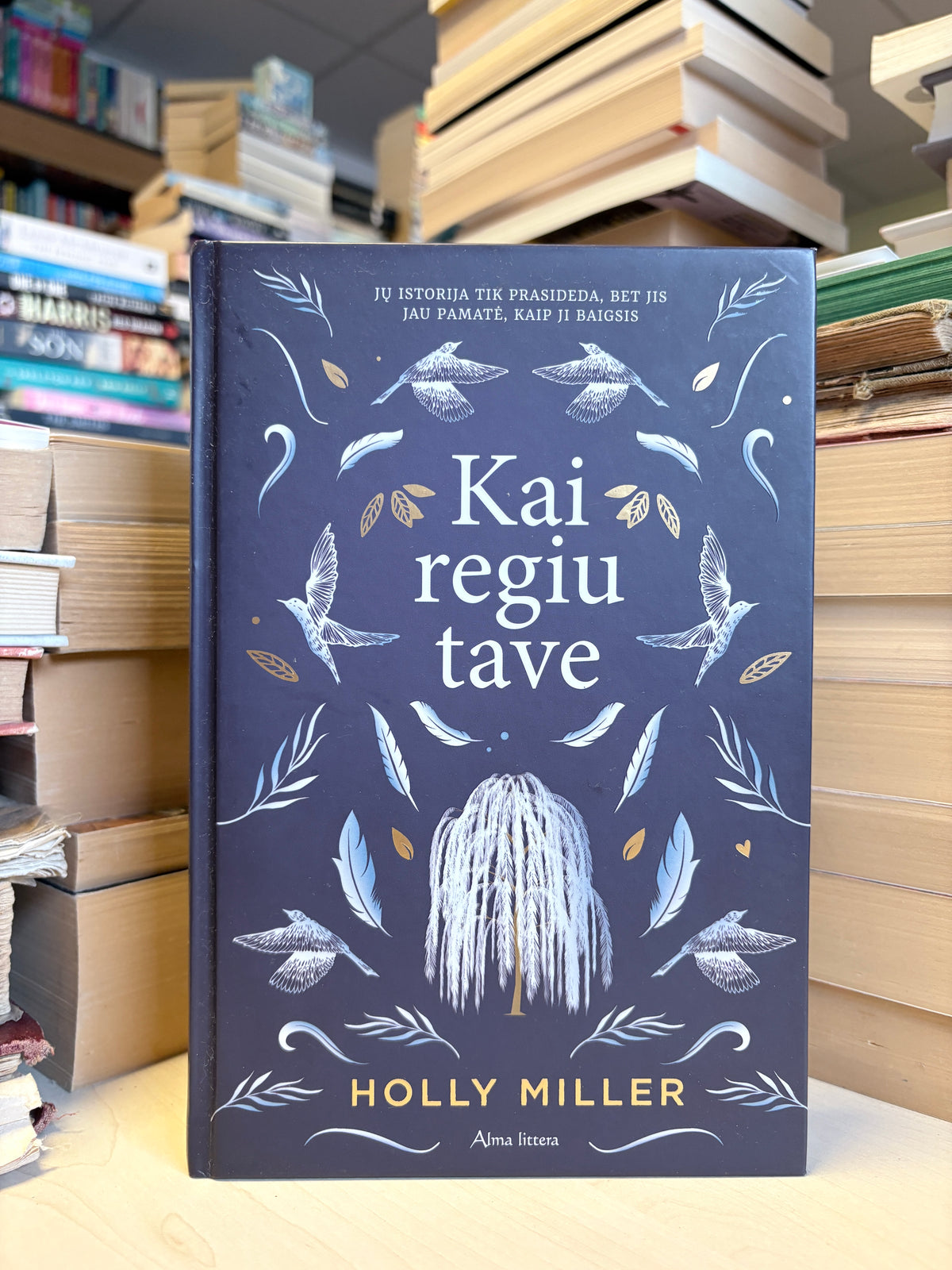 Holly Miller - ,,Kai regiu tave"