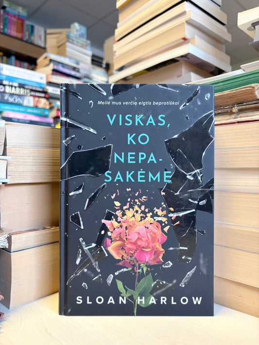 Sloan Harlow - ,,Viskas, ko nepasakėme"