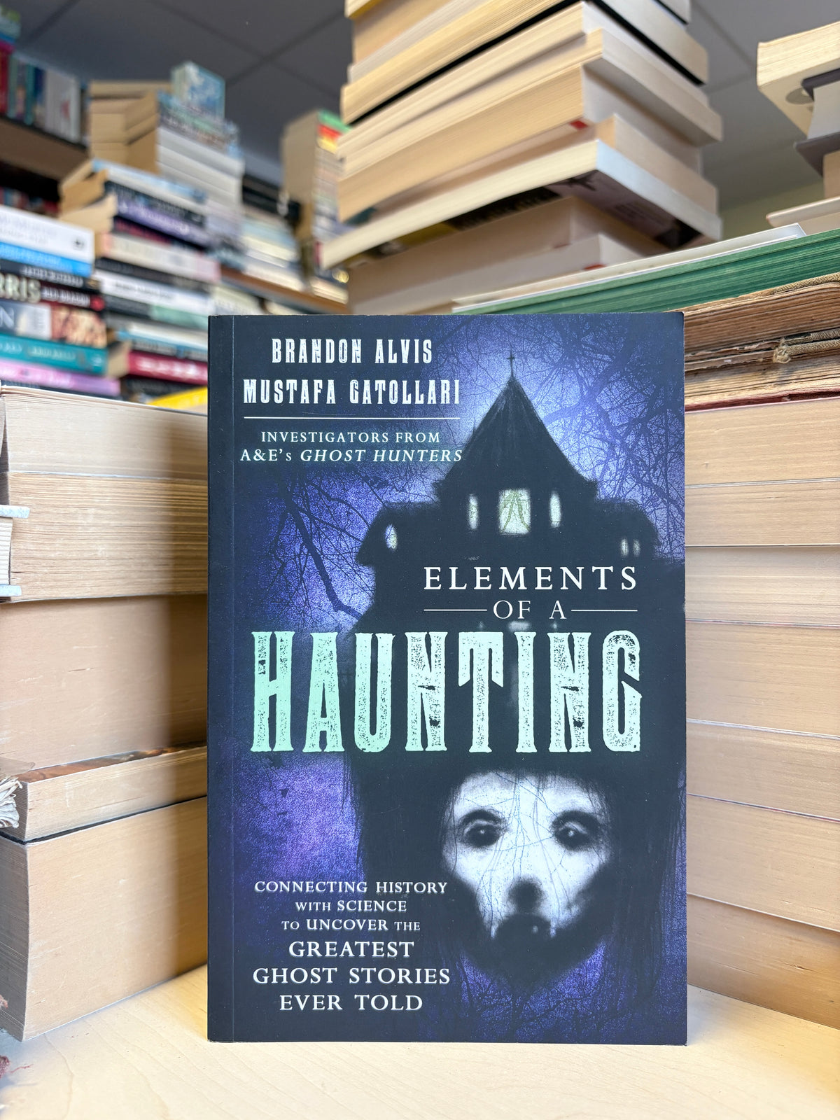 Brandon Alvis, Mustafa Gatollari - Elements of a Haunting