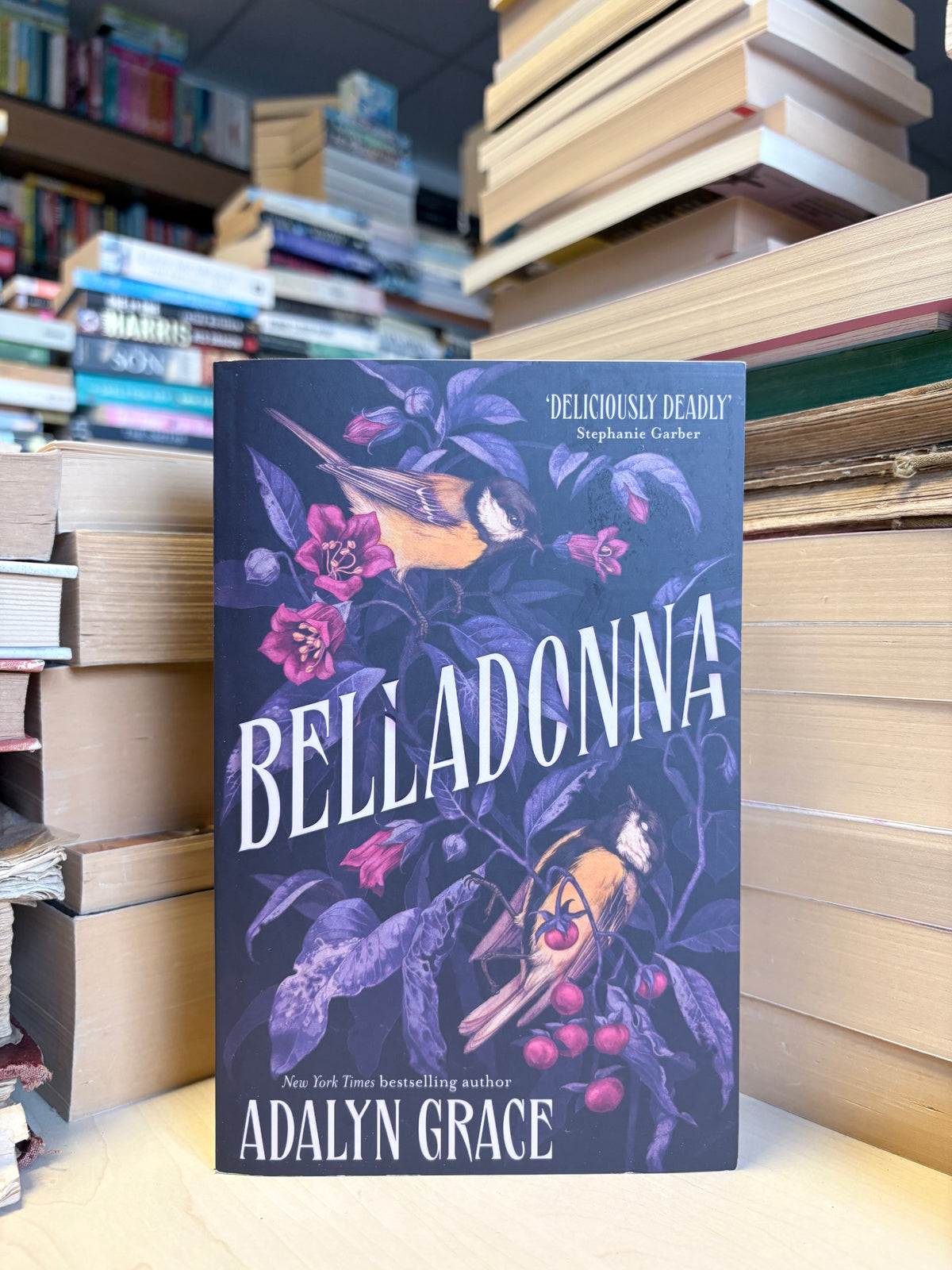 Adalyn Grace - Belladonna