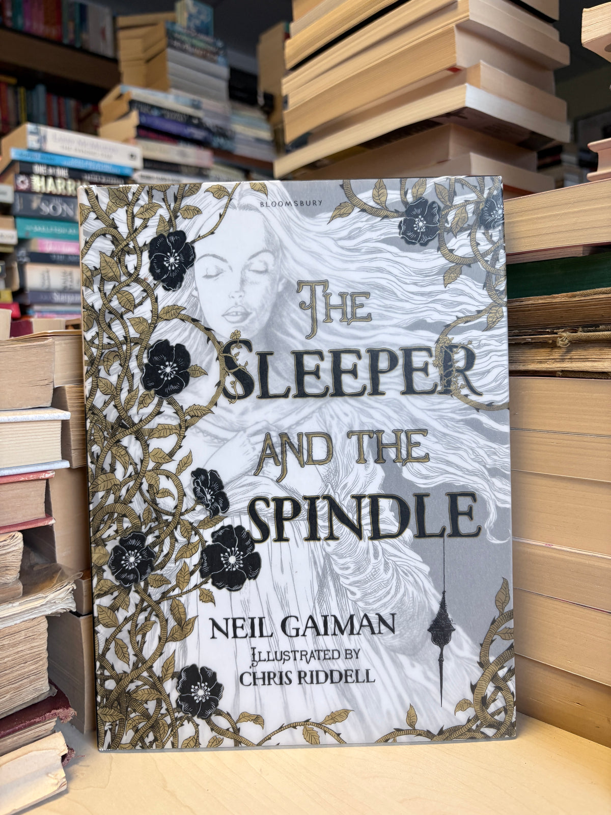 Neil Gaiman, Chris Riddell - The Sleeper and the Spindle