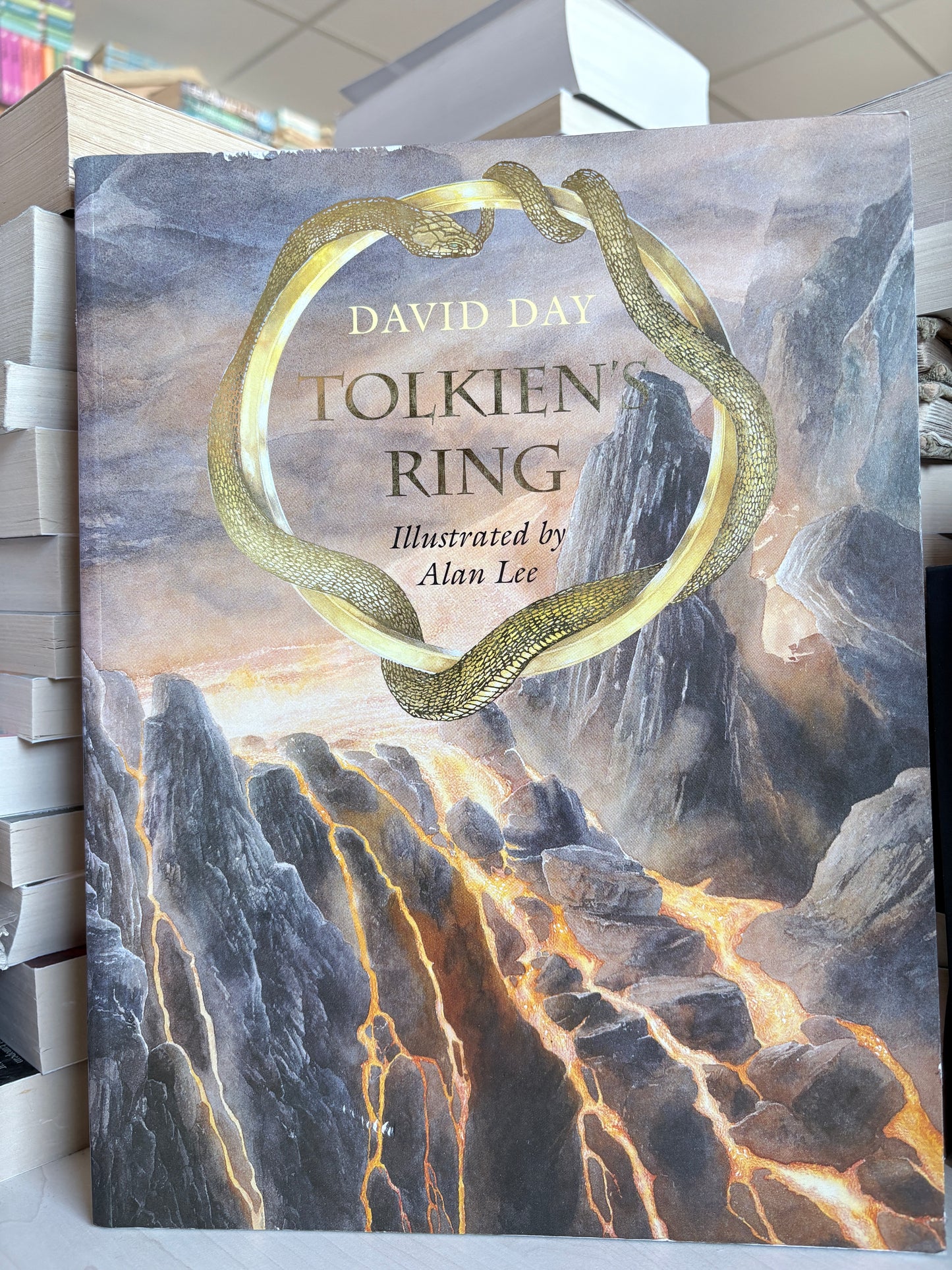 David Day - Tolkien's Ring