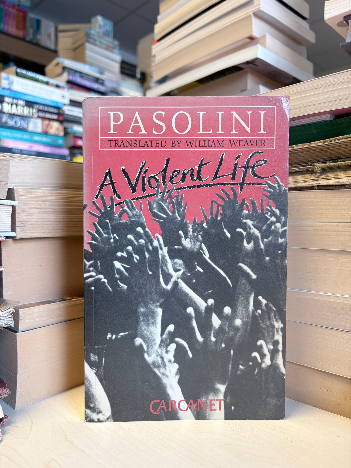 Pier Paolo Pasolini - A Violent Life