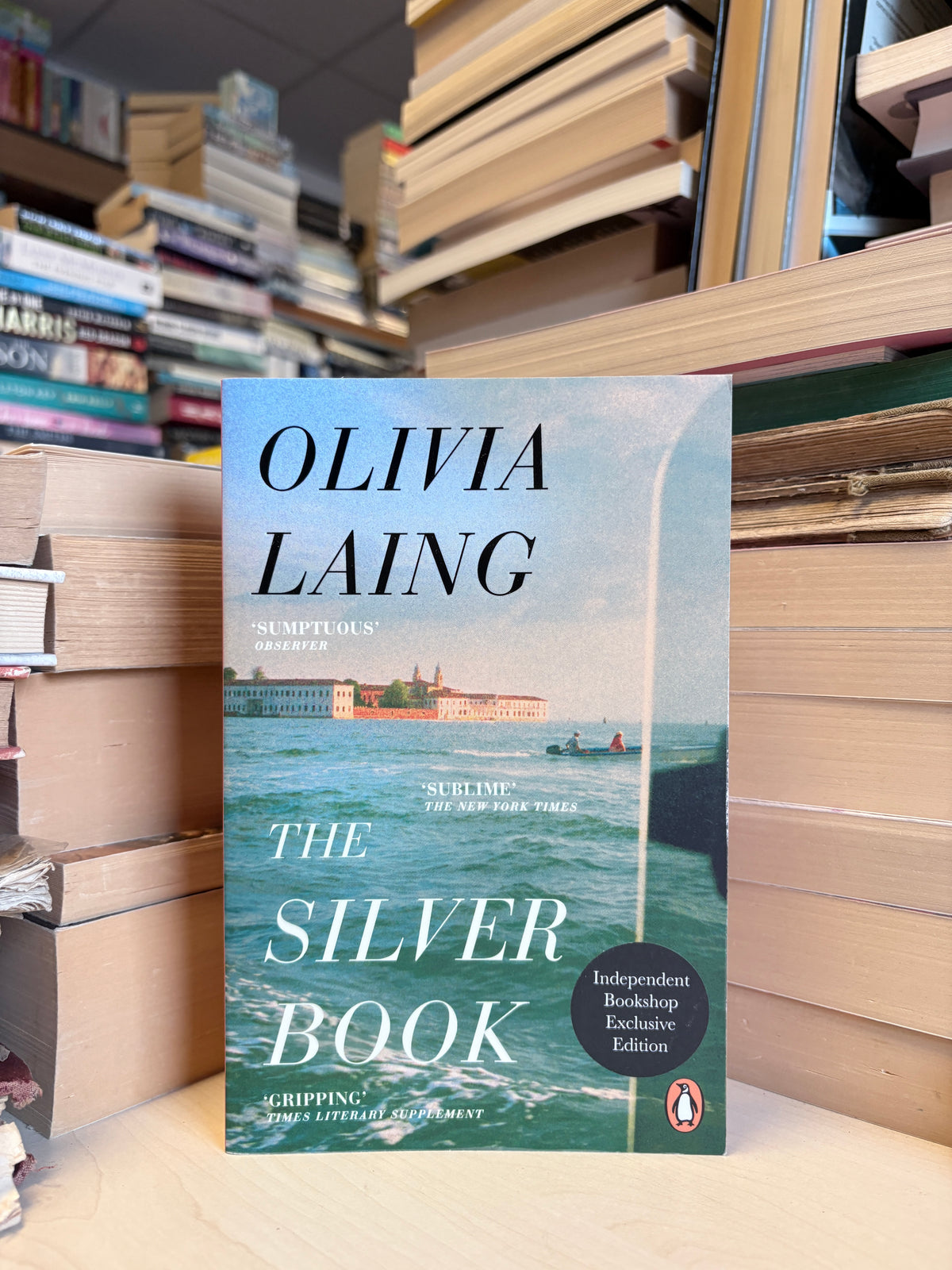 Olivia Laing - The Silver Book